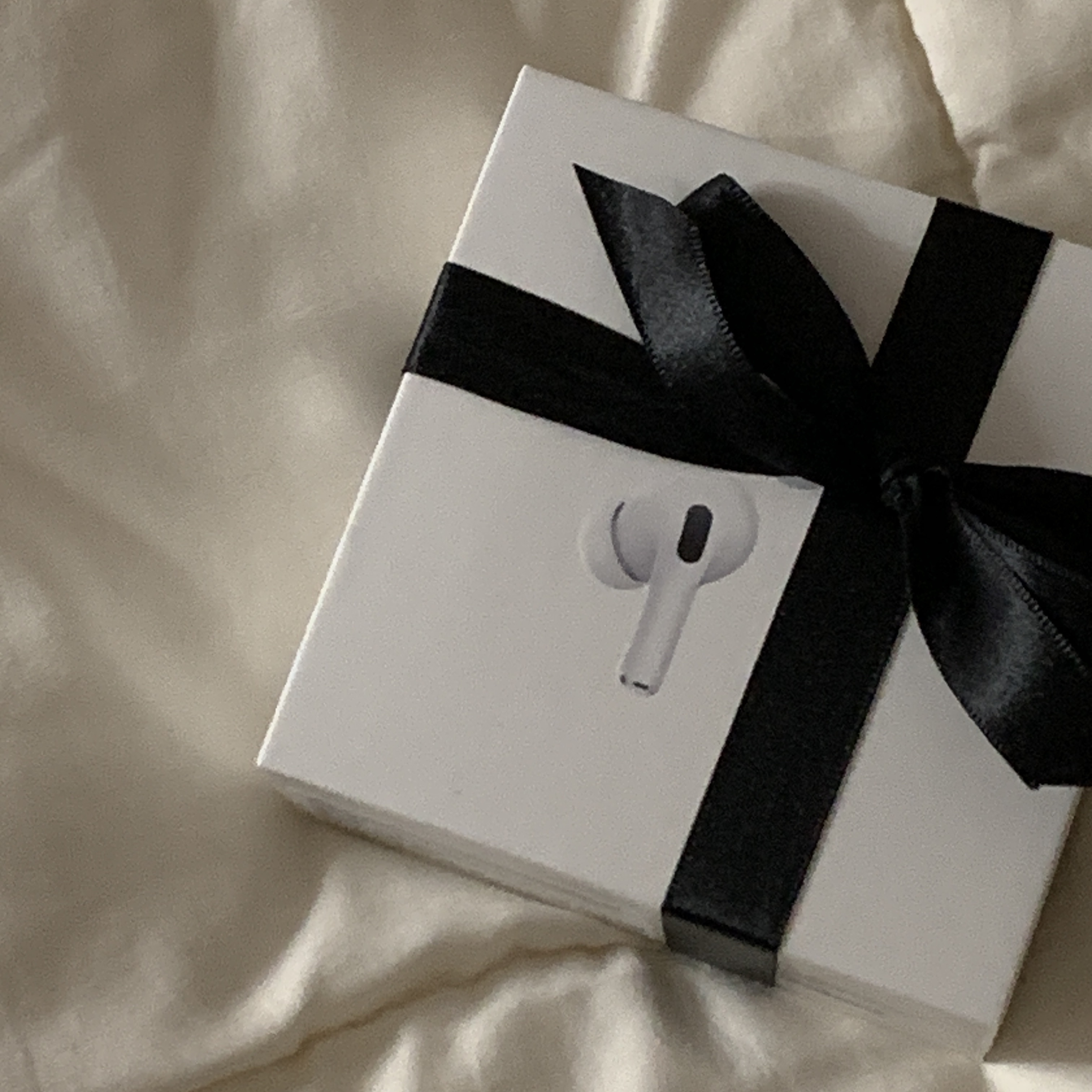 Apple AirPods Pro 2nd Gen (Korean Ver.) 착용 스타일