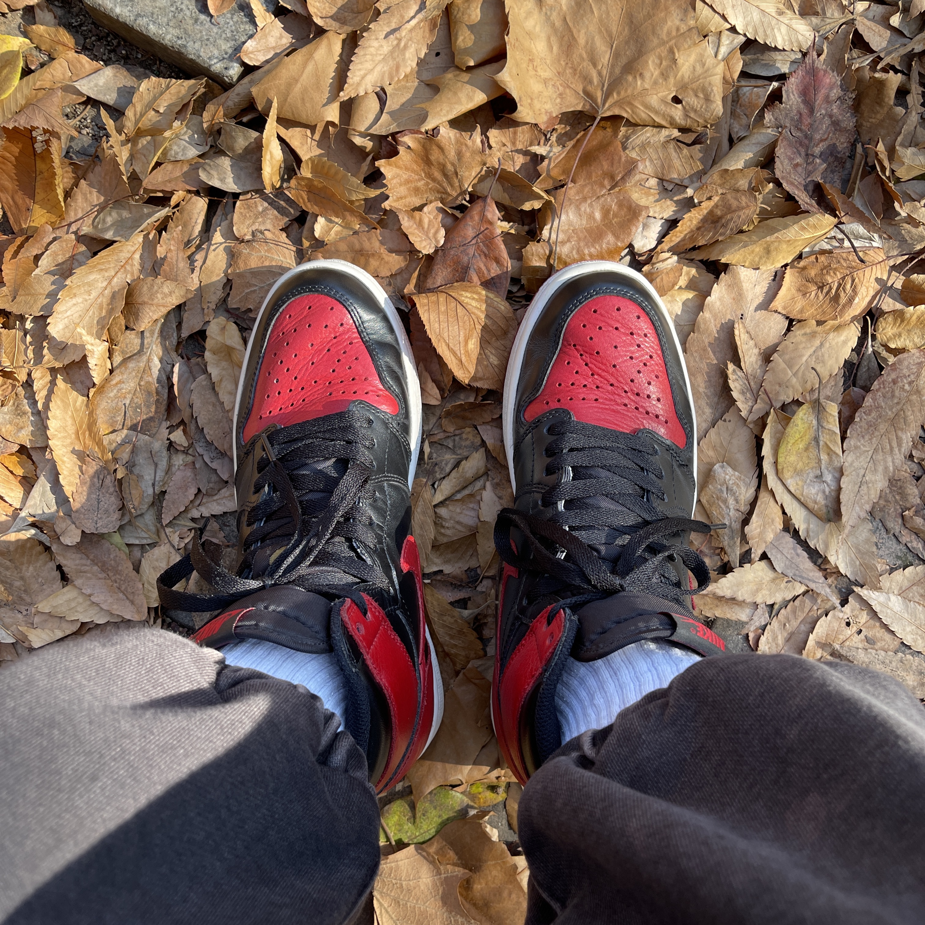 Jordan 1 Retro High OG Bred Banned 2016 착용 스타일