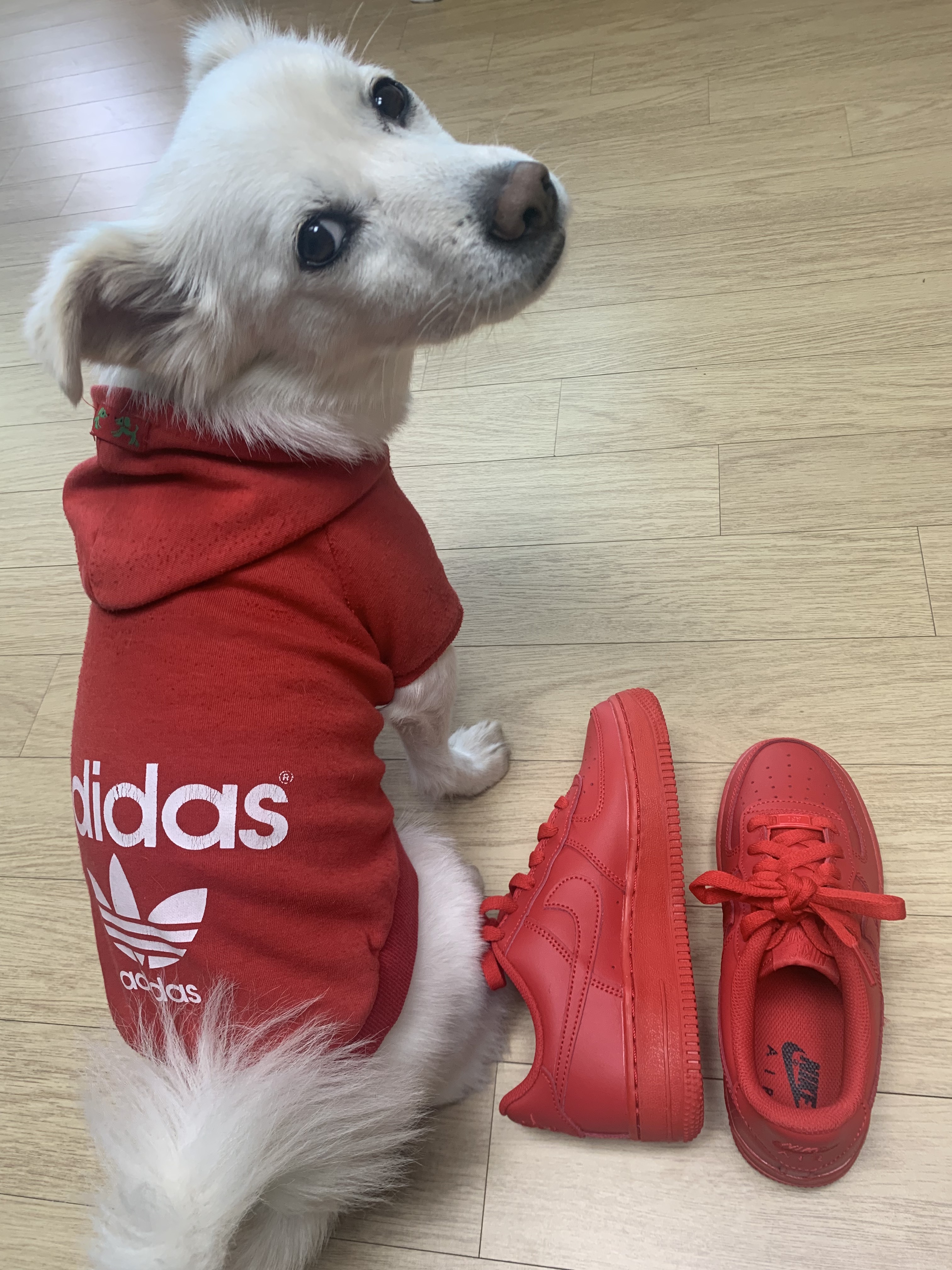 Nike Air Force 1 '07 LV8 Low 1 Triple Red 착용 스타일