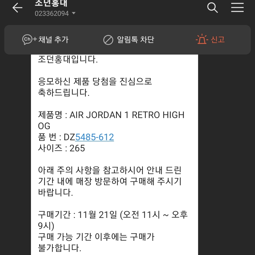 Jordan 1 Retro High OG Chicago 2022 착용 스타일