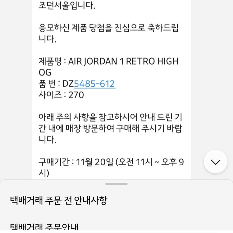 Jordan 1 Retro High OG Chicago 2022 착용 스타일