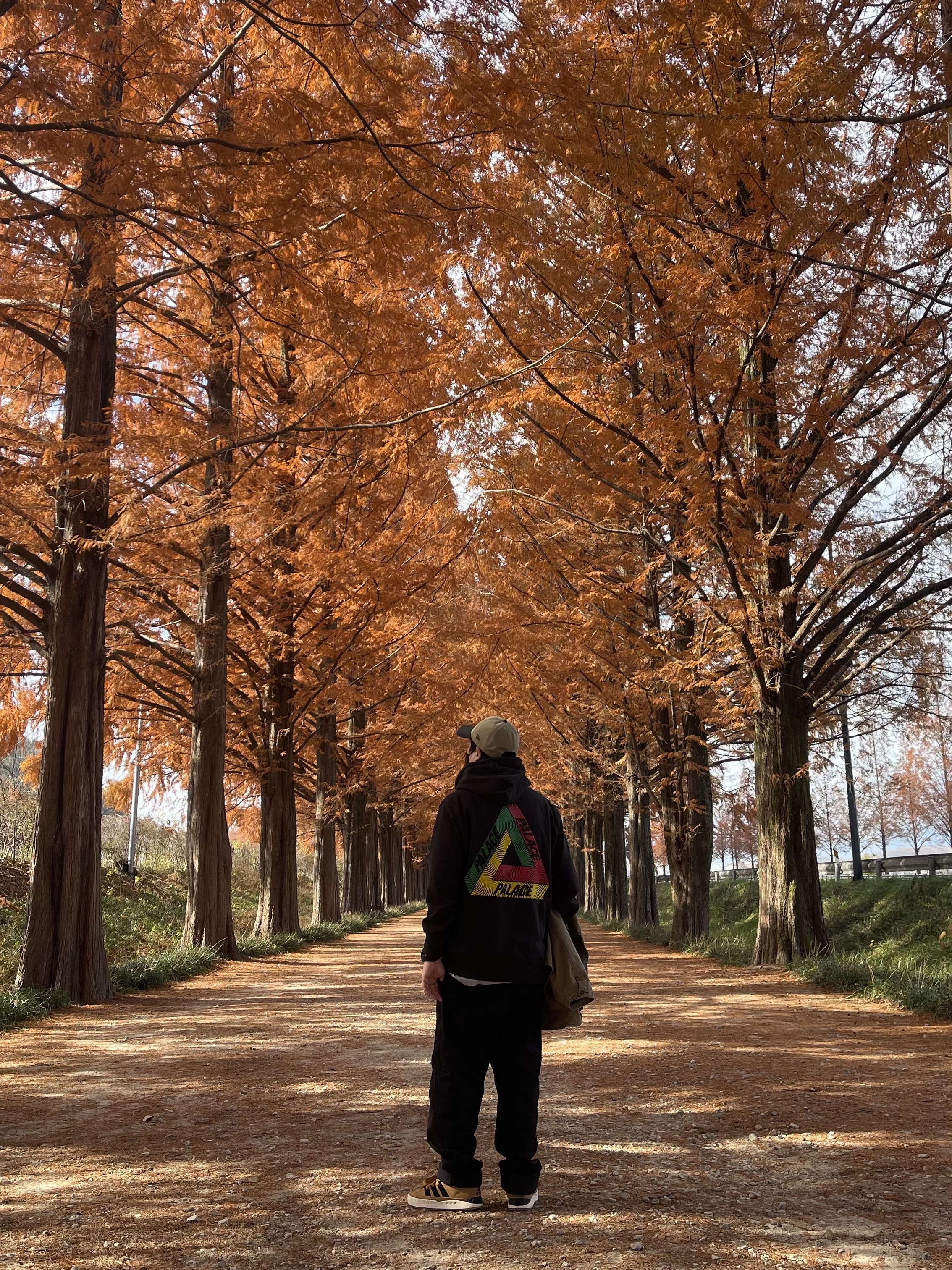 Palace Swirl Tri-Ferg Hood Black - 22FW, Adidas x Atmos Adimatic OG Shoebox 착용 스타일 - 1