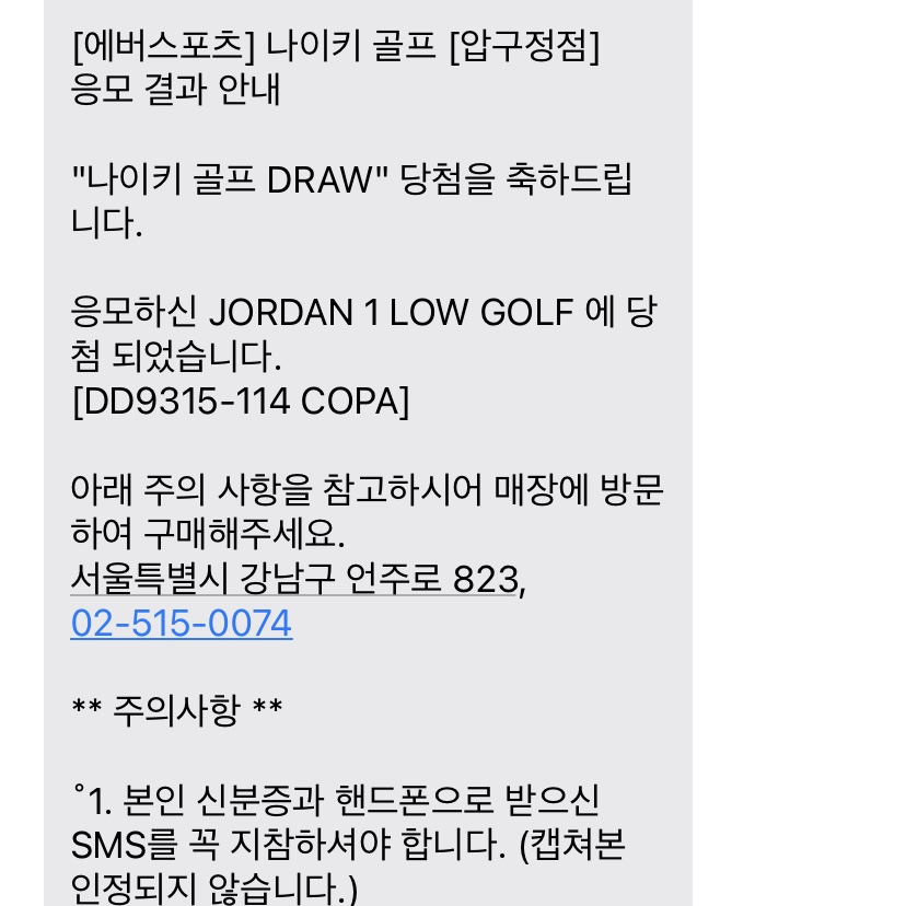 Jordan 1 Low Golf Copa 착용 스타일