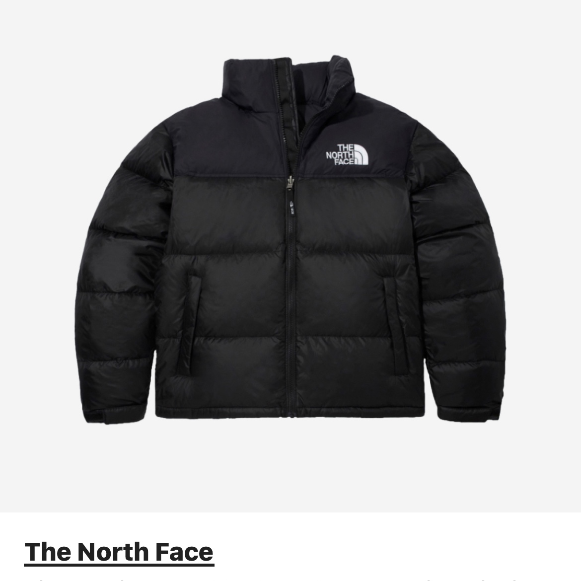 The North Face 1996 Eco Nuptse Jacket Black 착용 스타일