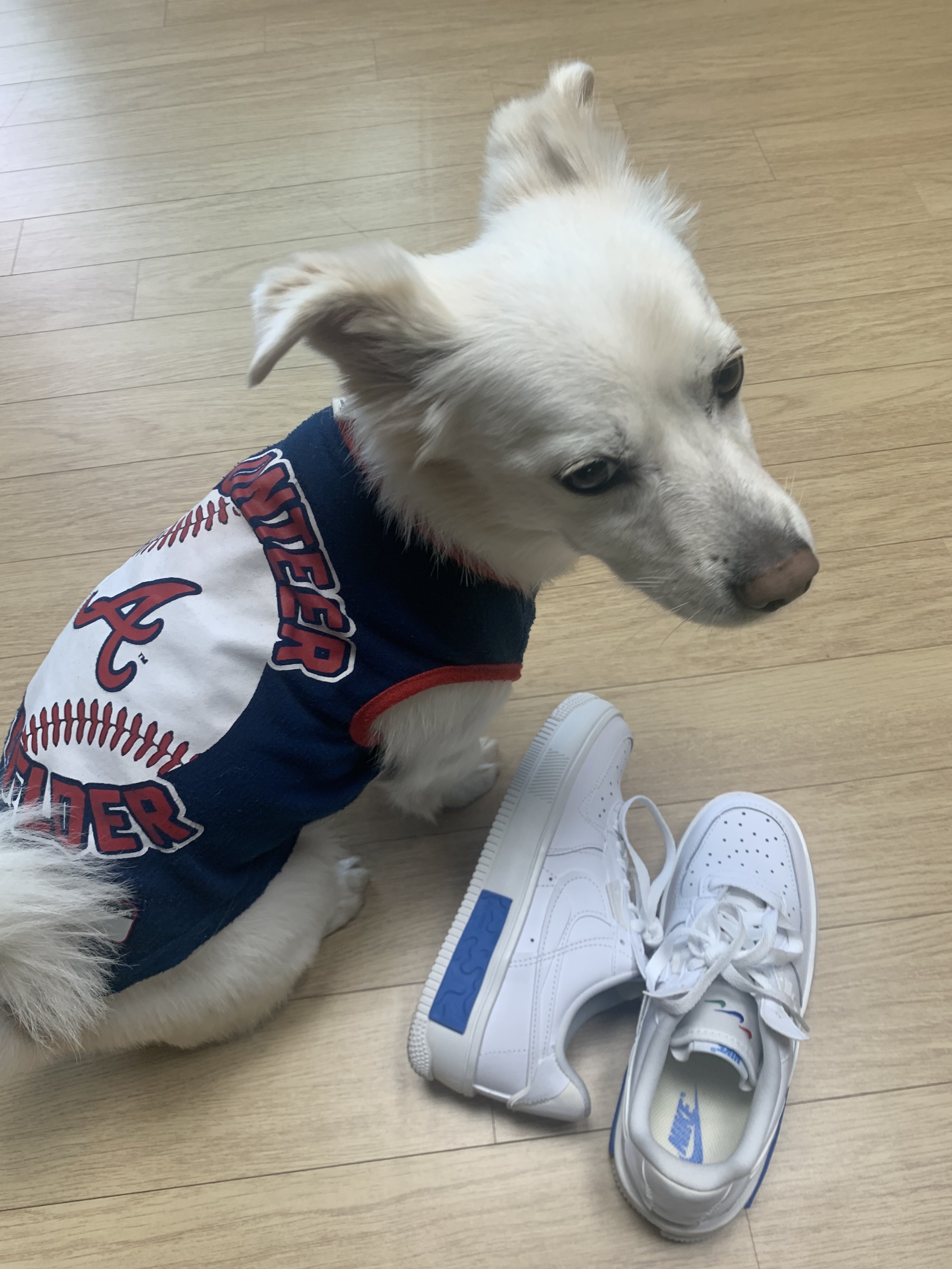 (W) Nike Air Force 1 Fontanka White University Blue 착용 스타일
