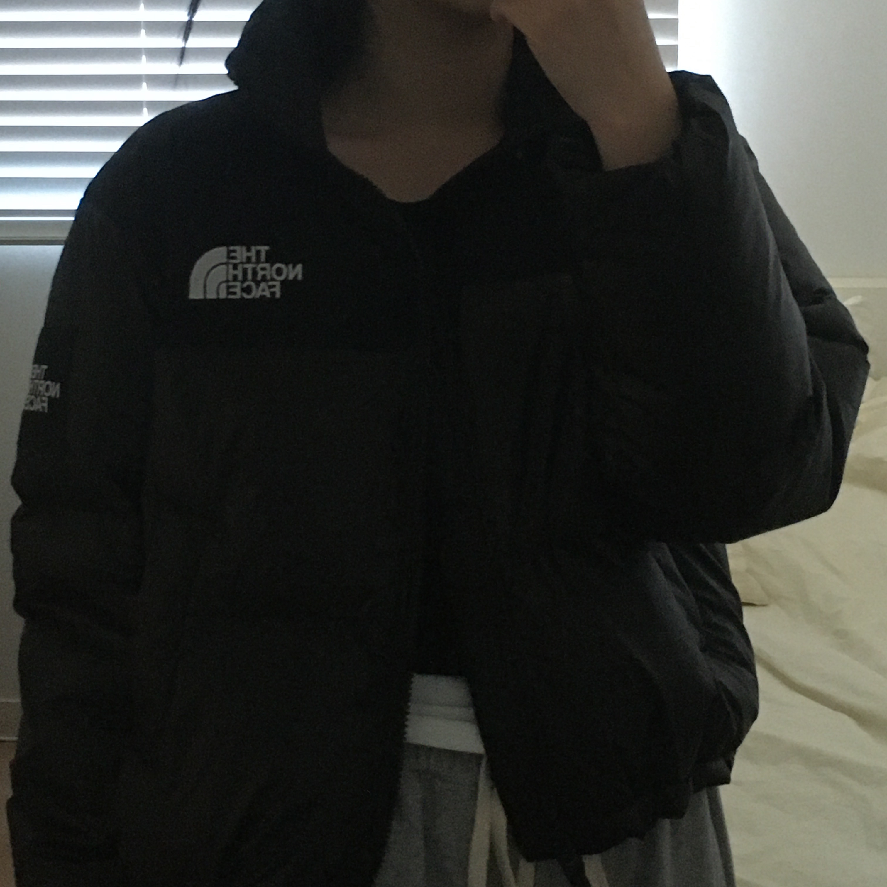(W) The North Face White Label Novelty Nuptse Down Jacket Black 착용 스타일 - 2