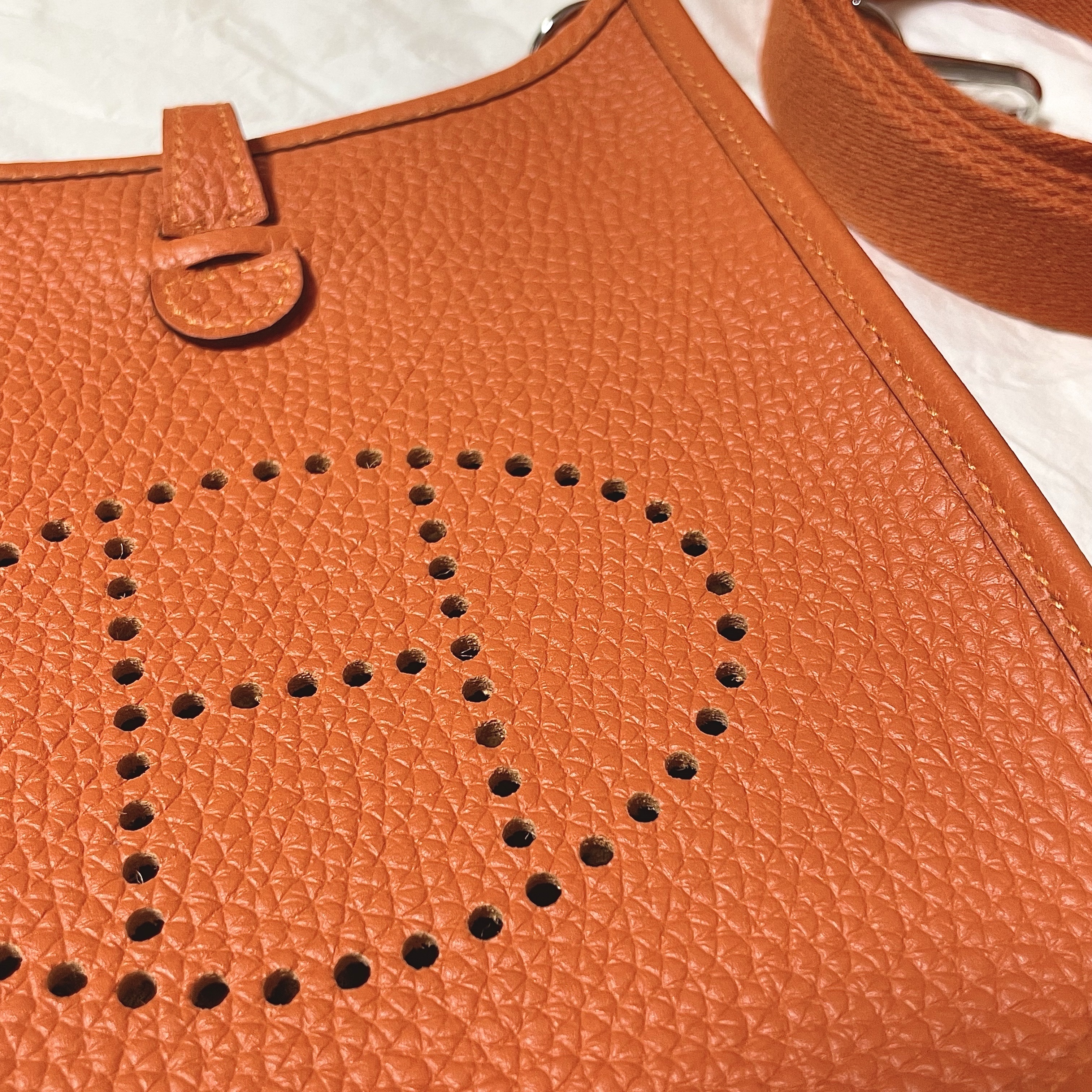 Hermes Evelyne 16 Amazone Bag Clemence & Gold Feu 착용 스타일 - 3