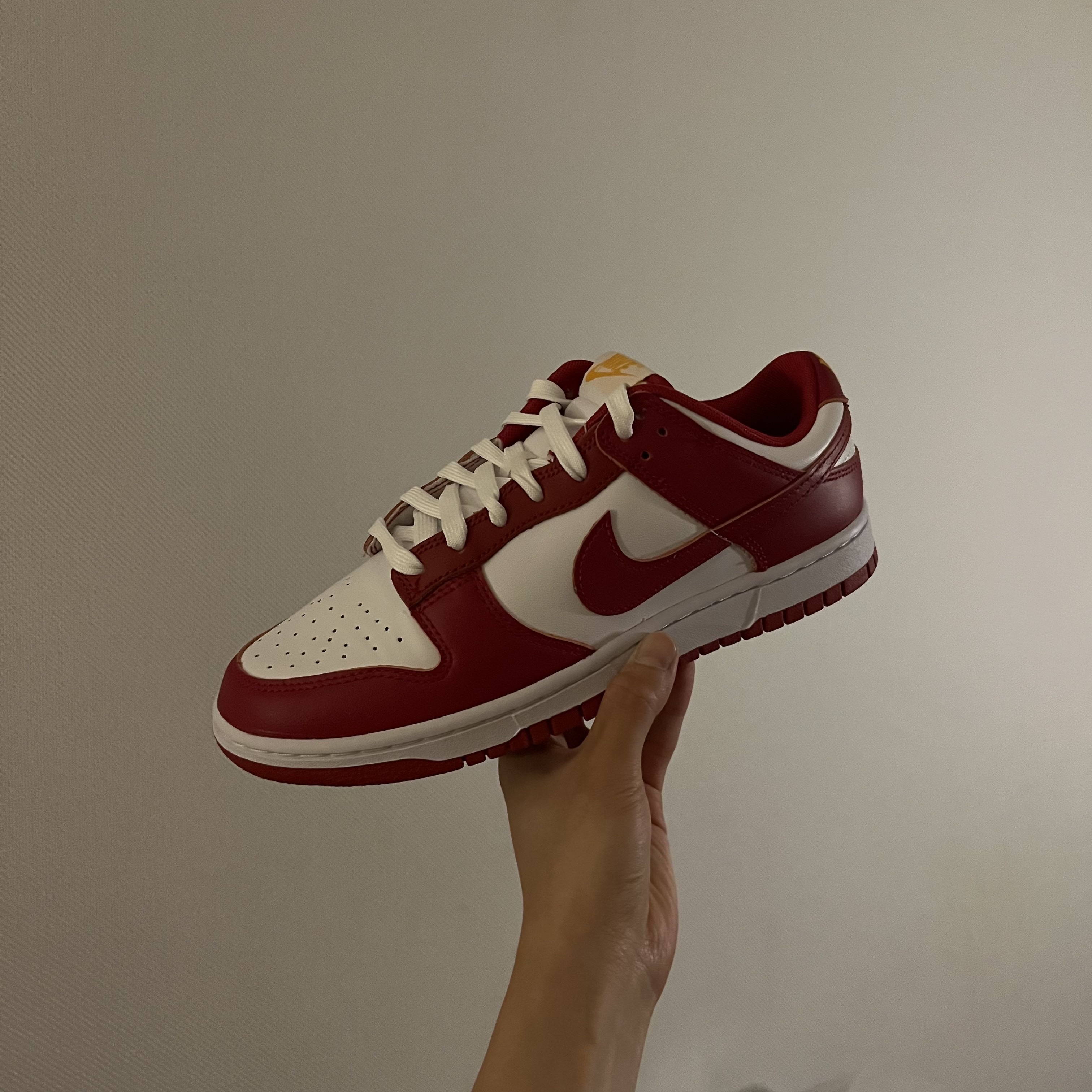 Nike Dunk Low Retro Gym Red 착용 스타일