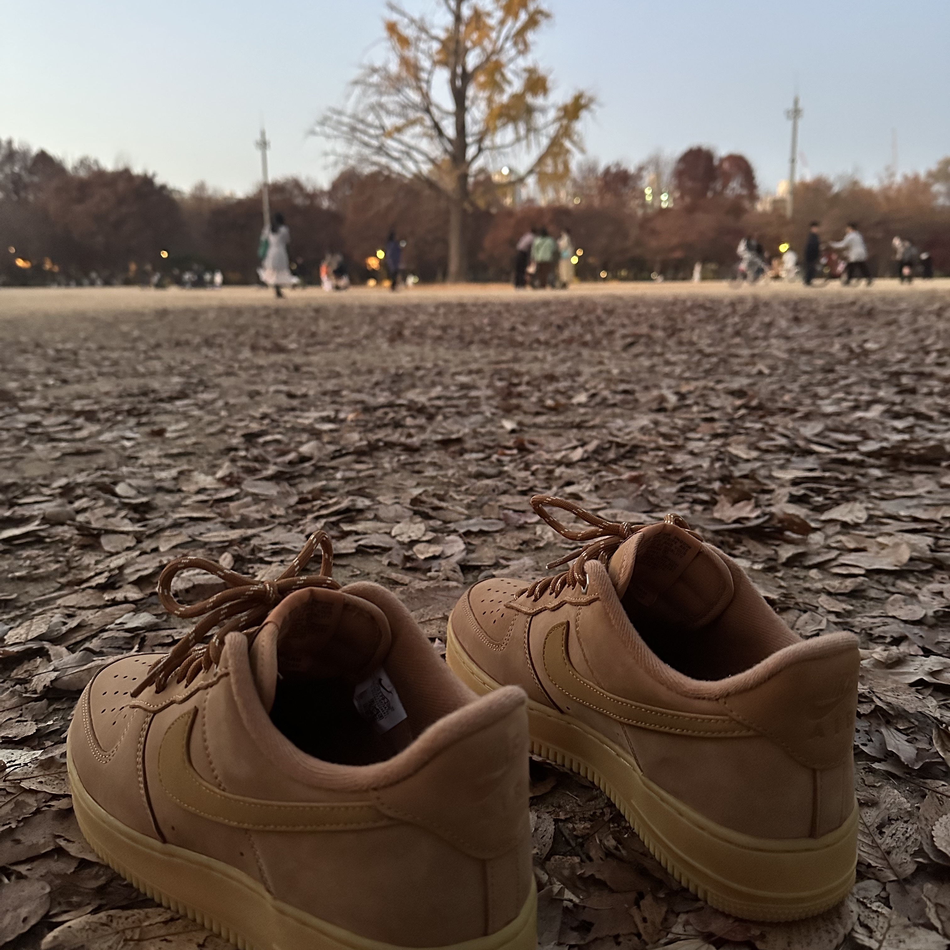 Nike Air Force 1 '07 WB Flax 착용 스타일