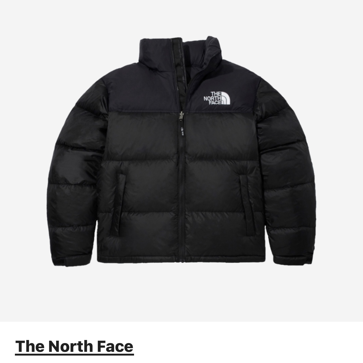 The North Face 1996 Eco Nuptse Jacket Black 착용 스타일
