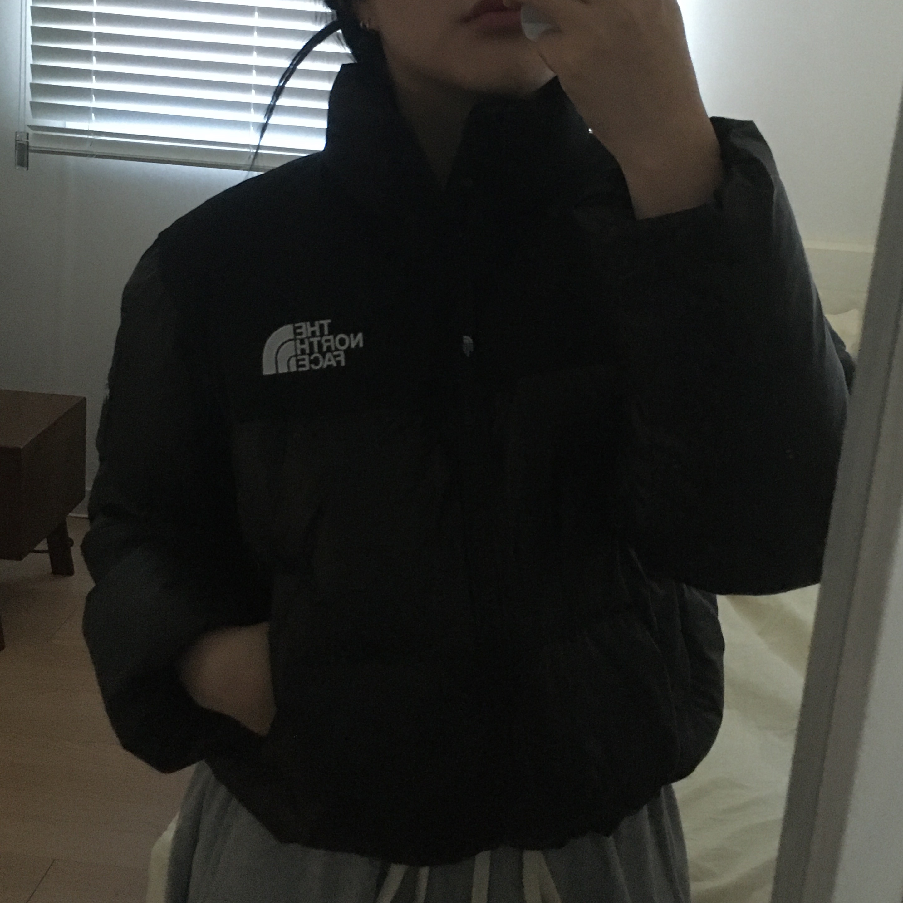 (W) The North Face White Label Novelty Nuptse Down Jacket Black 착용 스타일 - 3