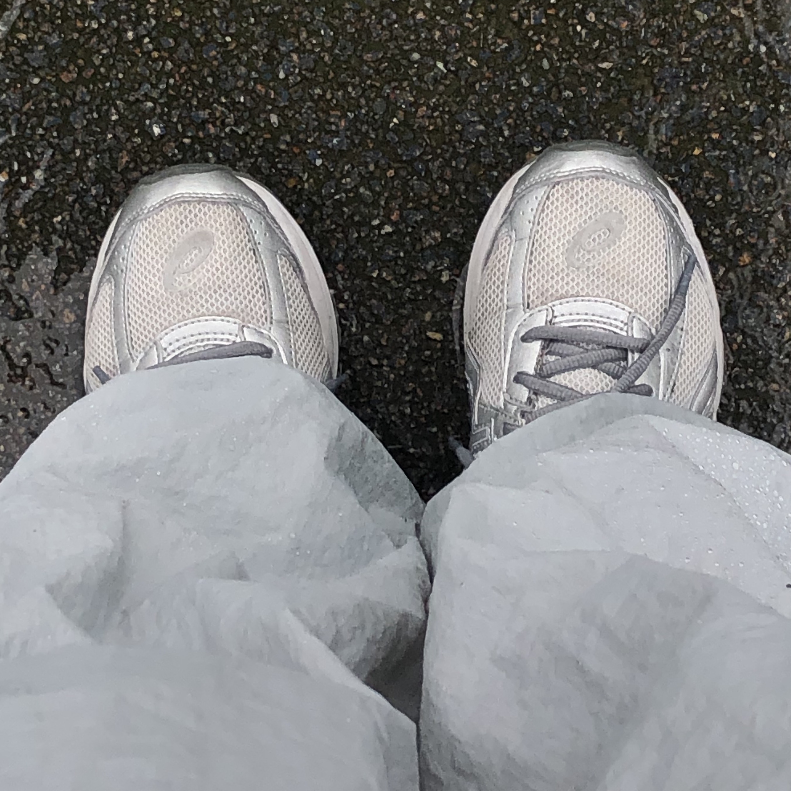 Asics Jog 100 S SMU Glacier Grey Pure Silver - 2E Wide 착용 스타일