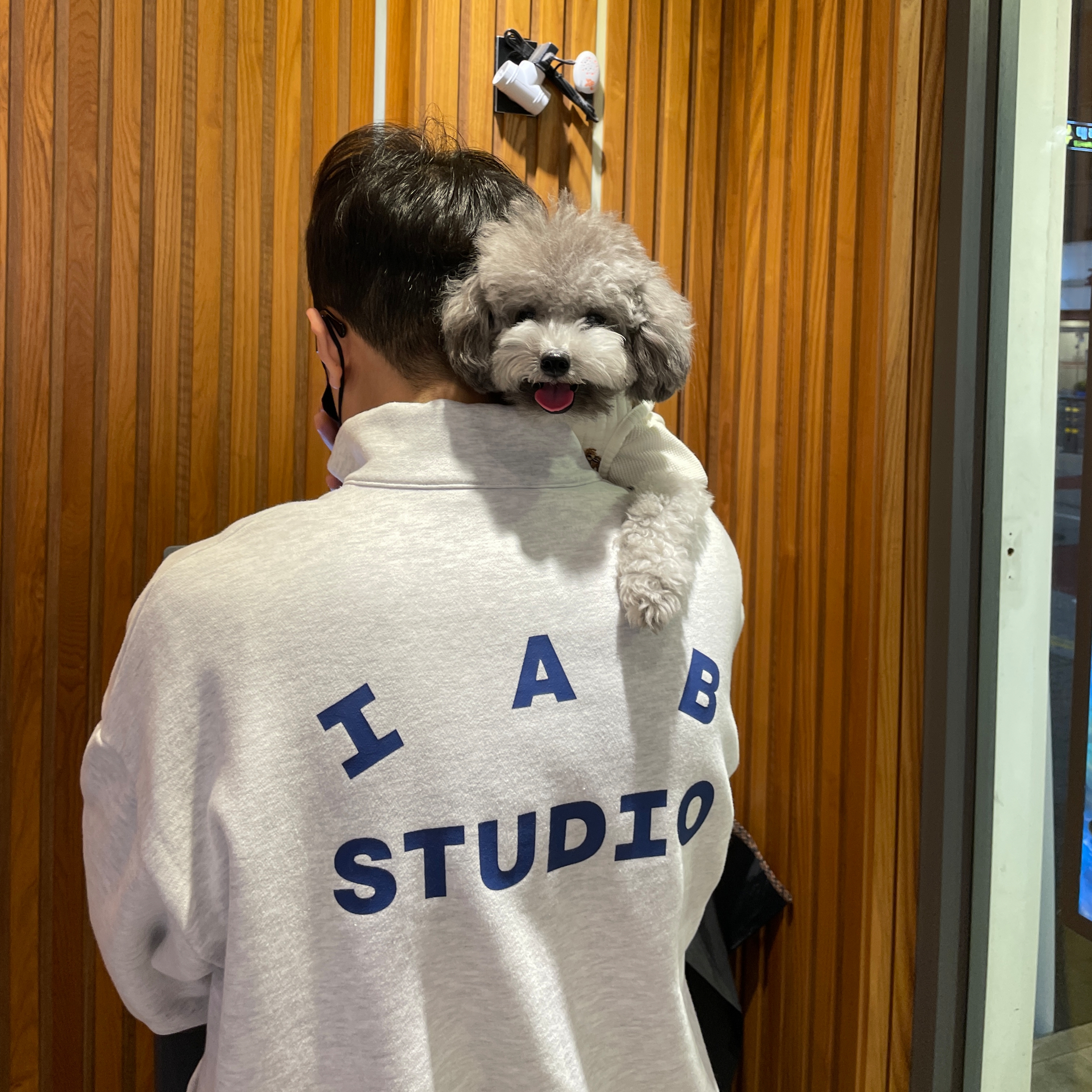 IAB Studio Half Zip Pullover Light Gray 착용 스타일