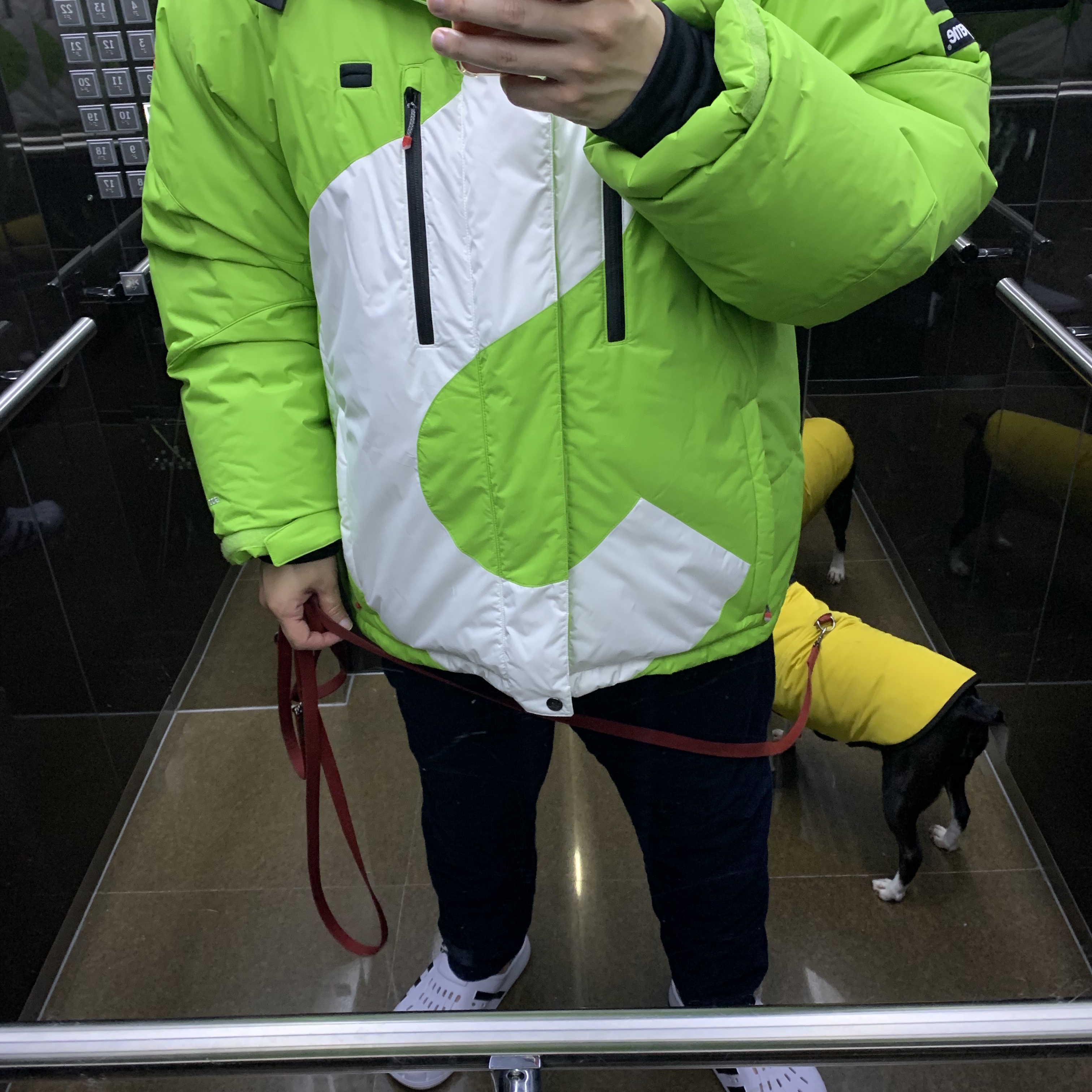 Supreme x The North Face S Logo Summit Series Himalayan Parka Lime - 20FW 착용 스타일