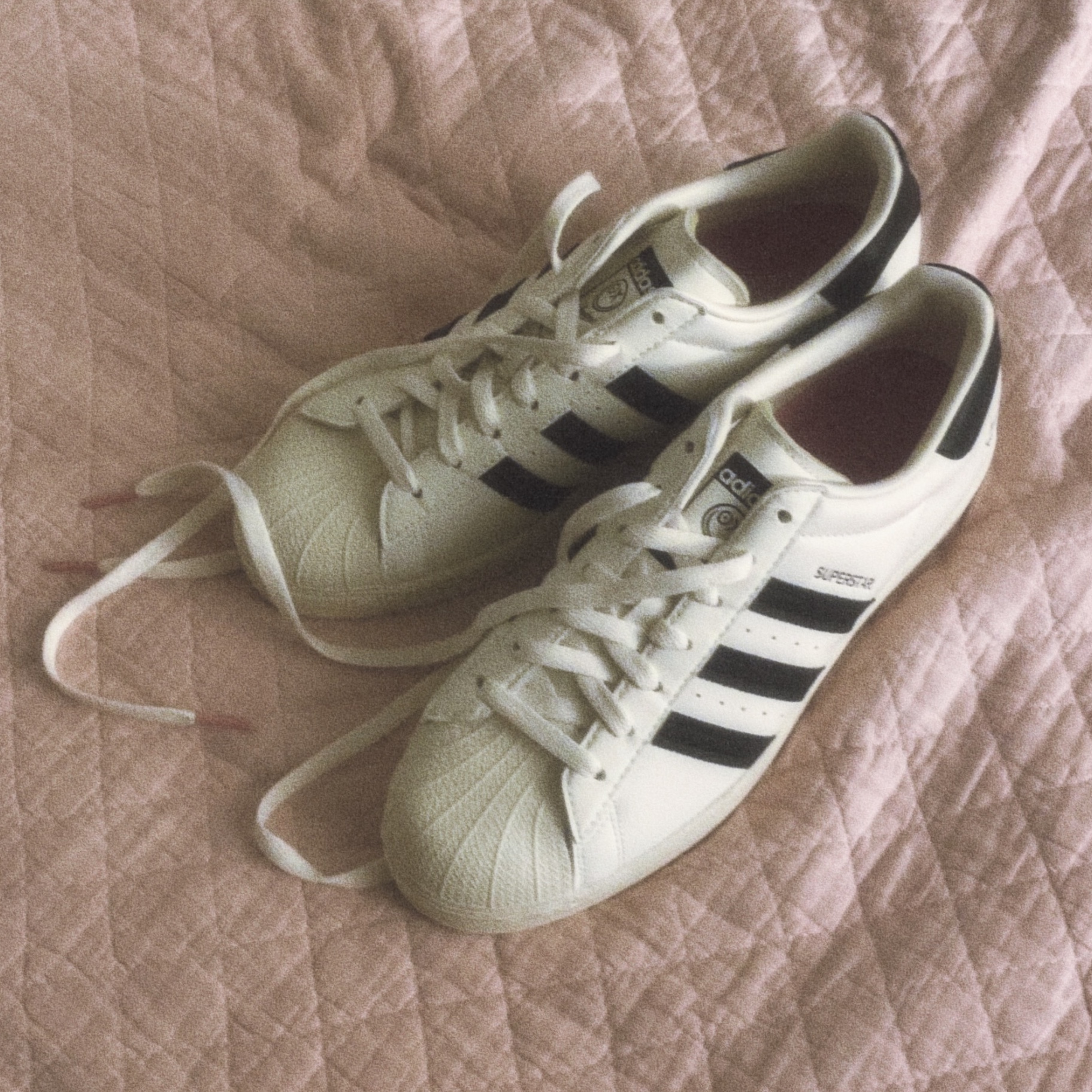 Adidas x Andre Saraiva Superstar Cream White Core Black 착용 스타일 - 1