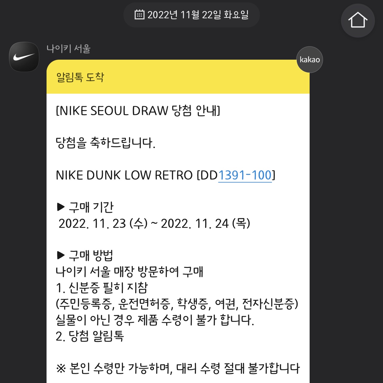 Nike Dunk Low Retro Black, Jordan 1 Retro High OG Chicago 2022 착용 스타일