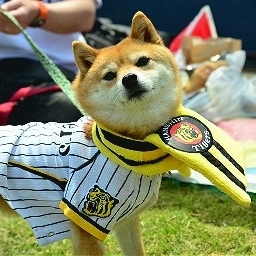 관심 유저 프로필 이미지