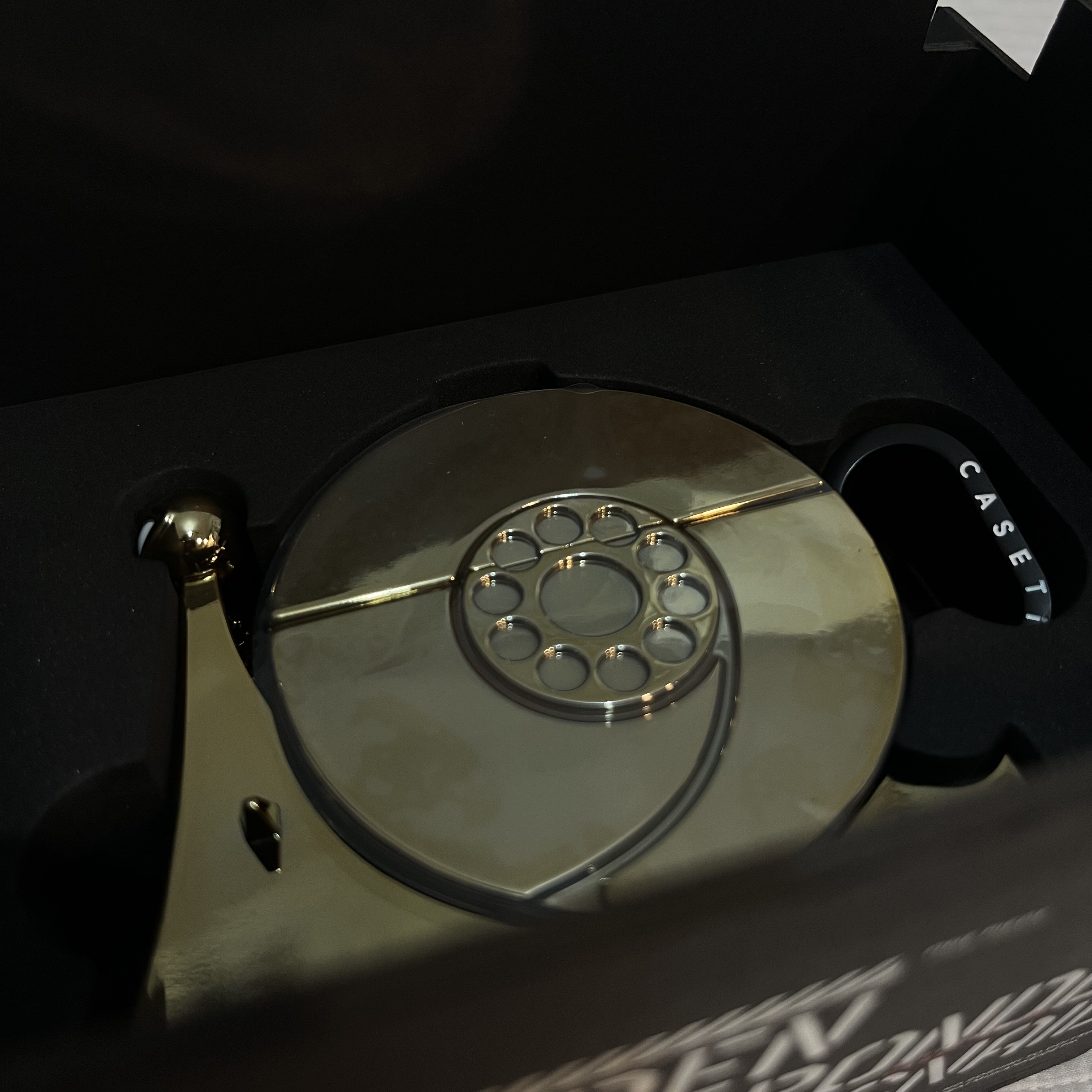 Casetify x One Piece Golden Transponder Snail 3D AirPods Pro 1st/2nd Gen Case Gold 착용 스타일 - 2