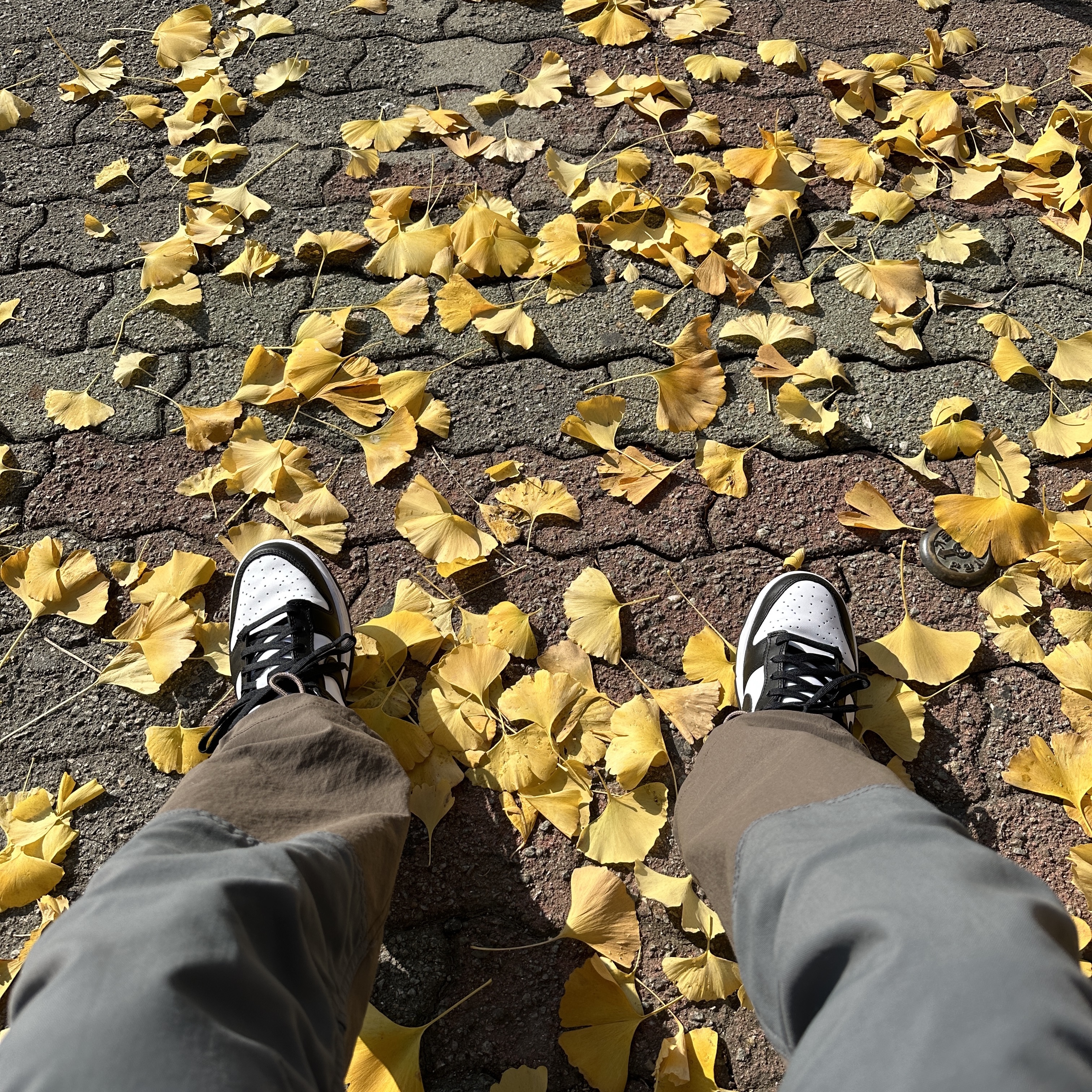 Nike Dunk Low Retro Black, Nike ACG Smith Summit Cargo Pants Ironstone - Asia 착용 스타일