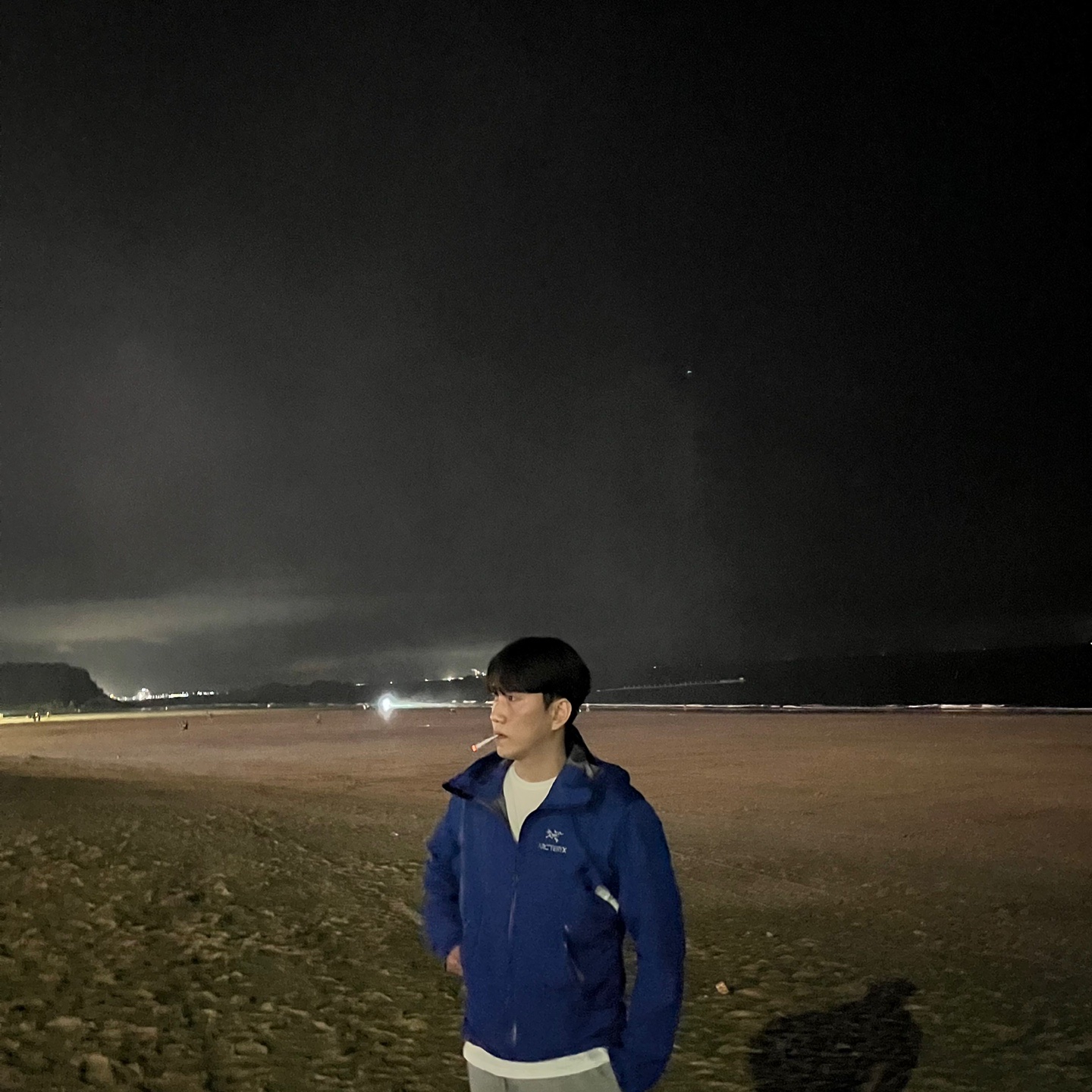 Arc'teryx Beta LT Jacket Vitality 착용 스타일