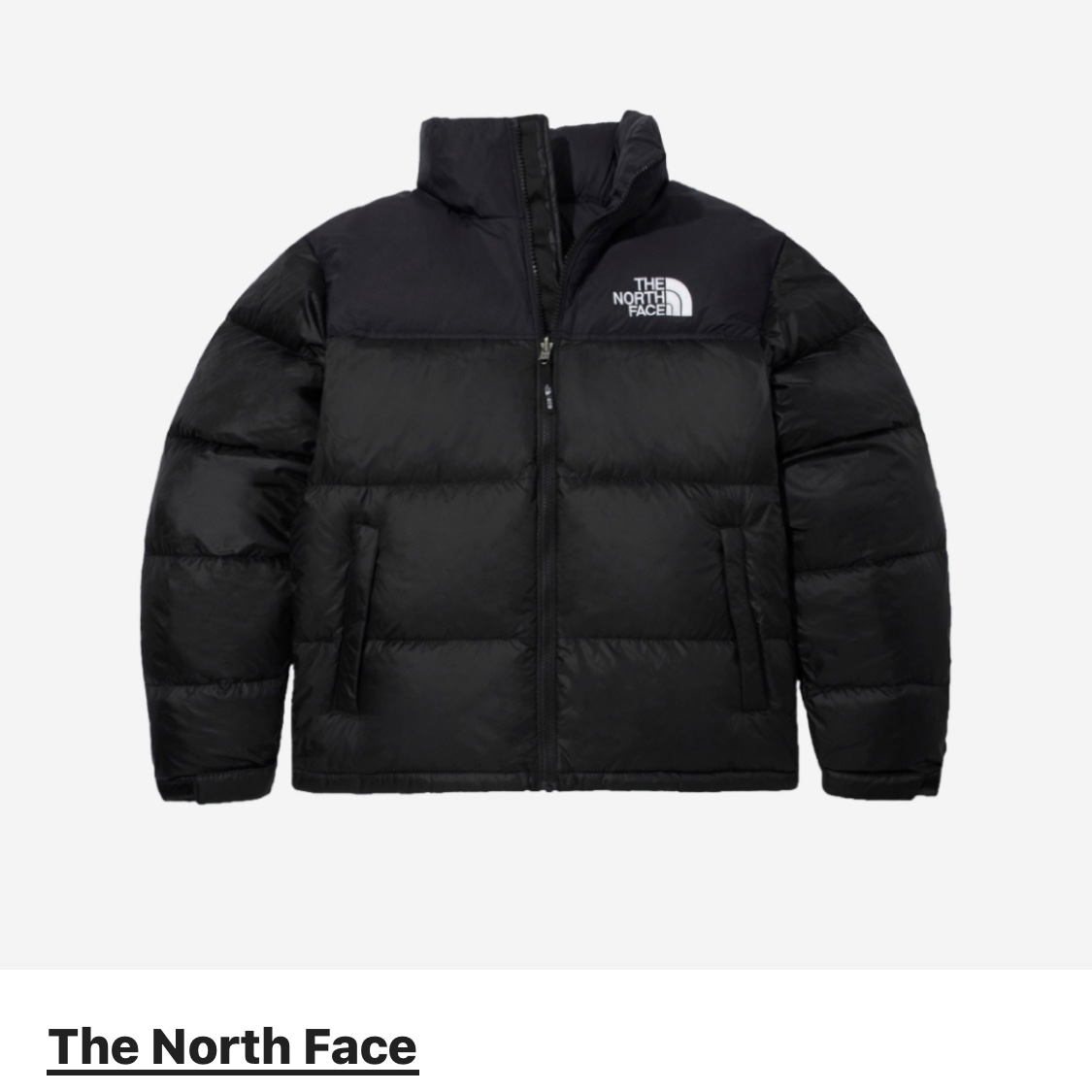 The North Face 1996 Eco Nuptse Jacket Black 착용 스타일