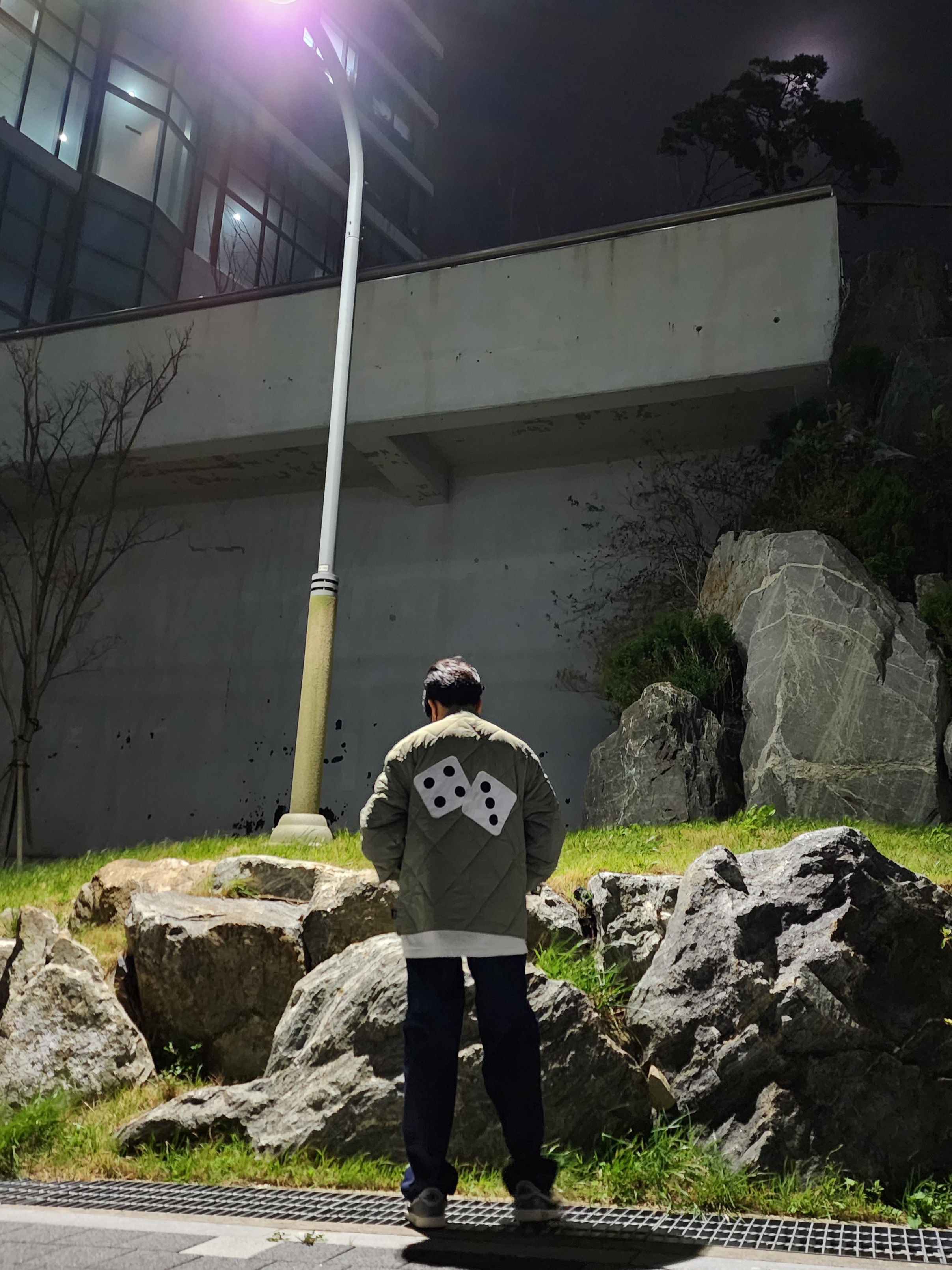 Stussy Dice Quilted Liner Jacket Olive, Jordan 1 Retro Low OG EX Black and Smoke Grey ์ฐฉ์ฉ ์คํ์ผ - 2