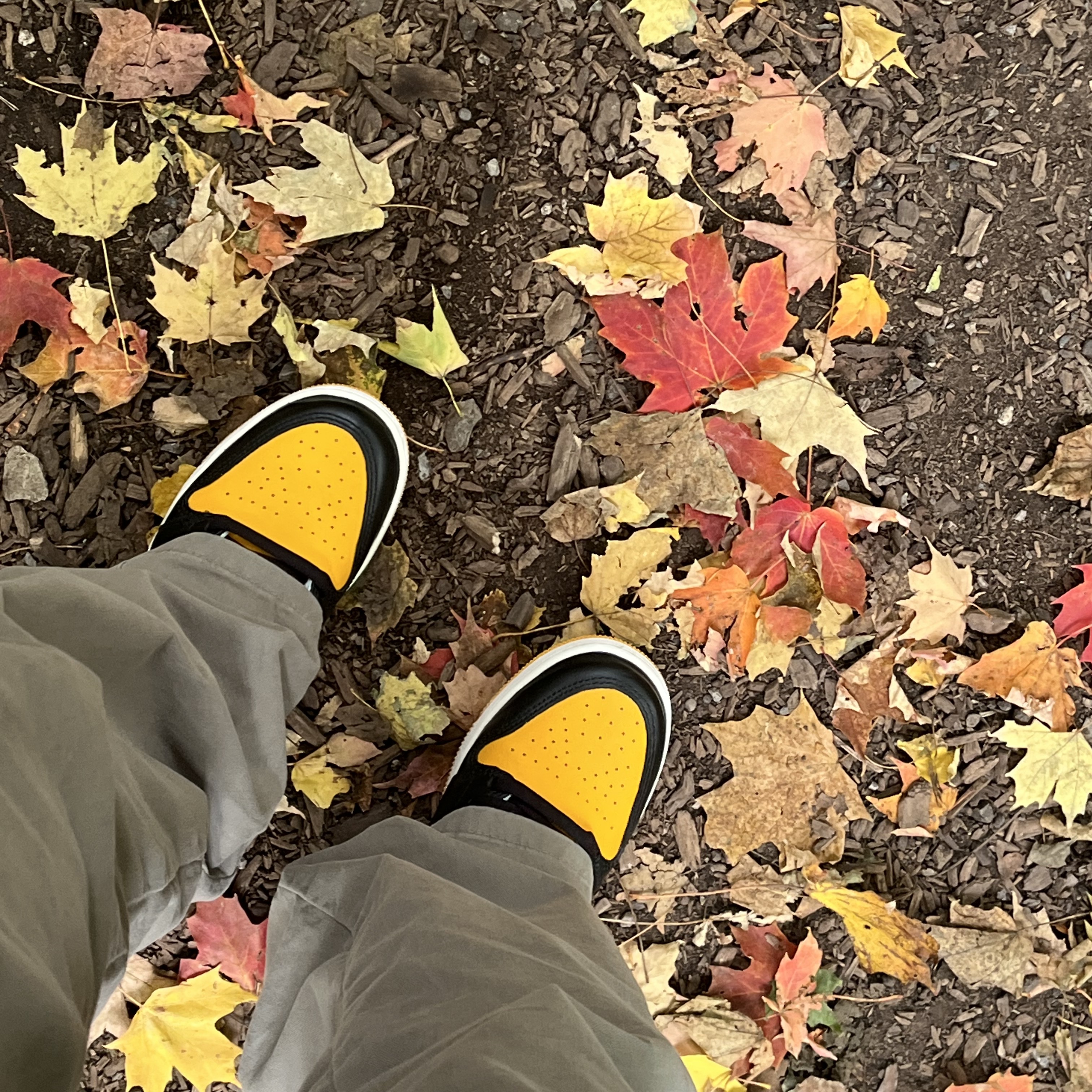 Jordan 1 Retro High OG Taxi 착용 스타일 - 1