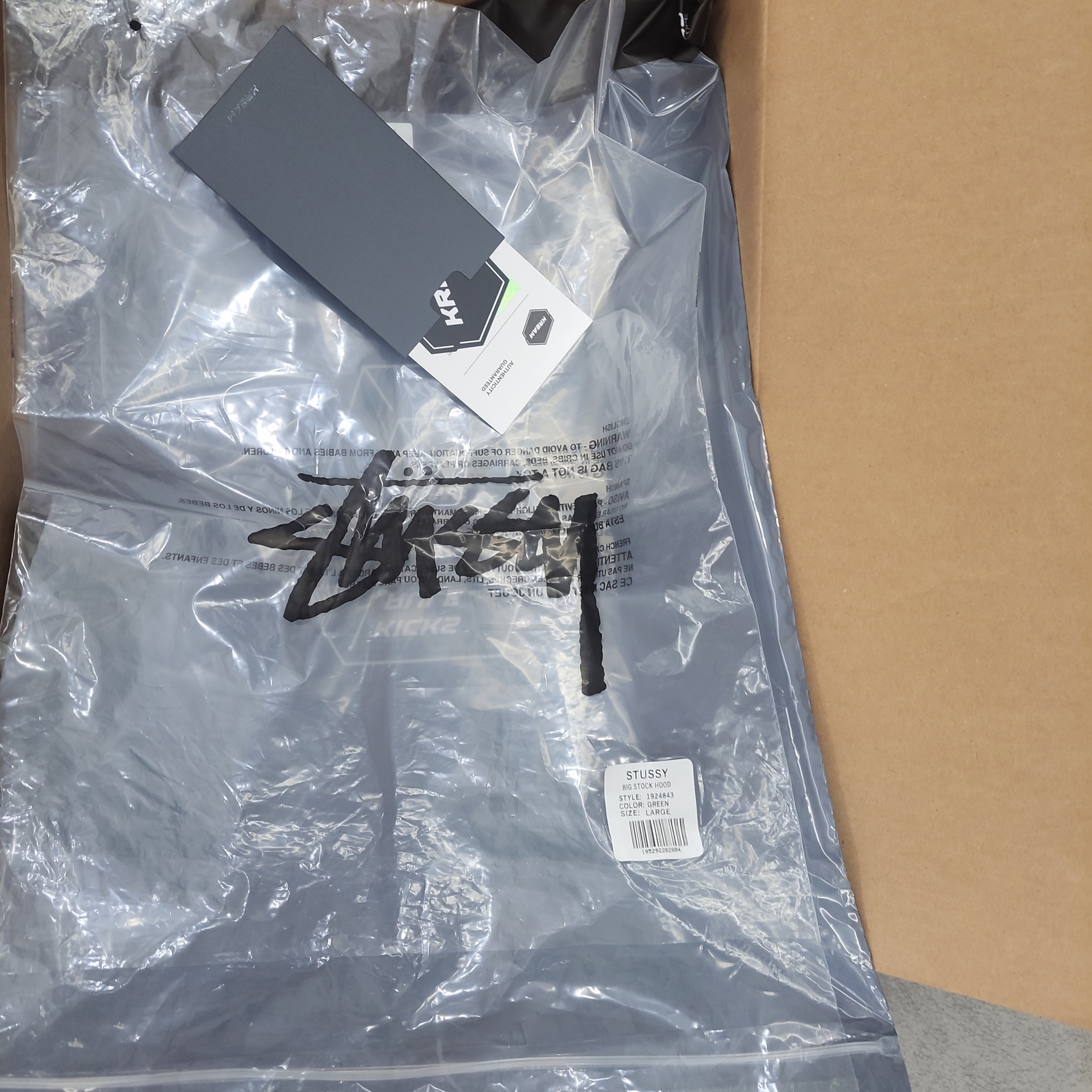 Stussy Big Stock Hoodie Green 착용 스타일 - 2