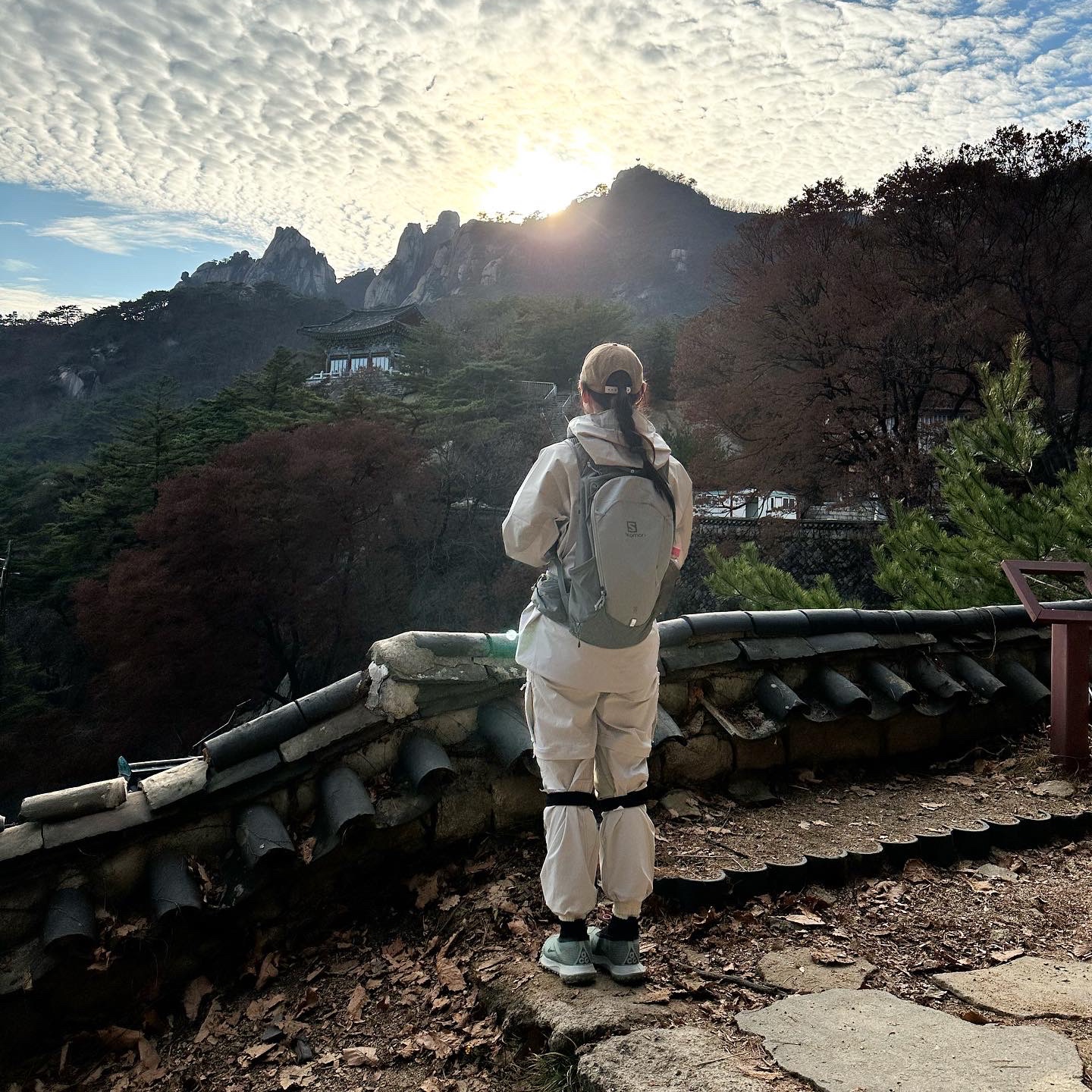 Nike ACG Mountain Fly Gore-Tex Clay Green, Nike ACG Smith Summit Cargo Pants Light Bone - Asia 착용 스타일 - 2