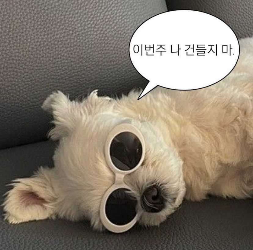 KREAM 프로필 이미지