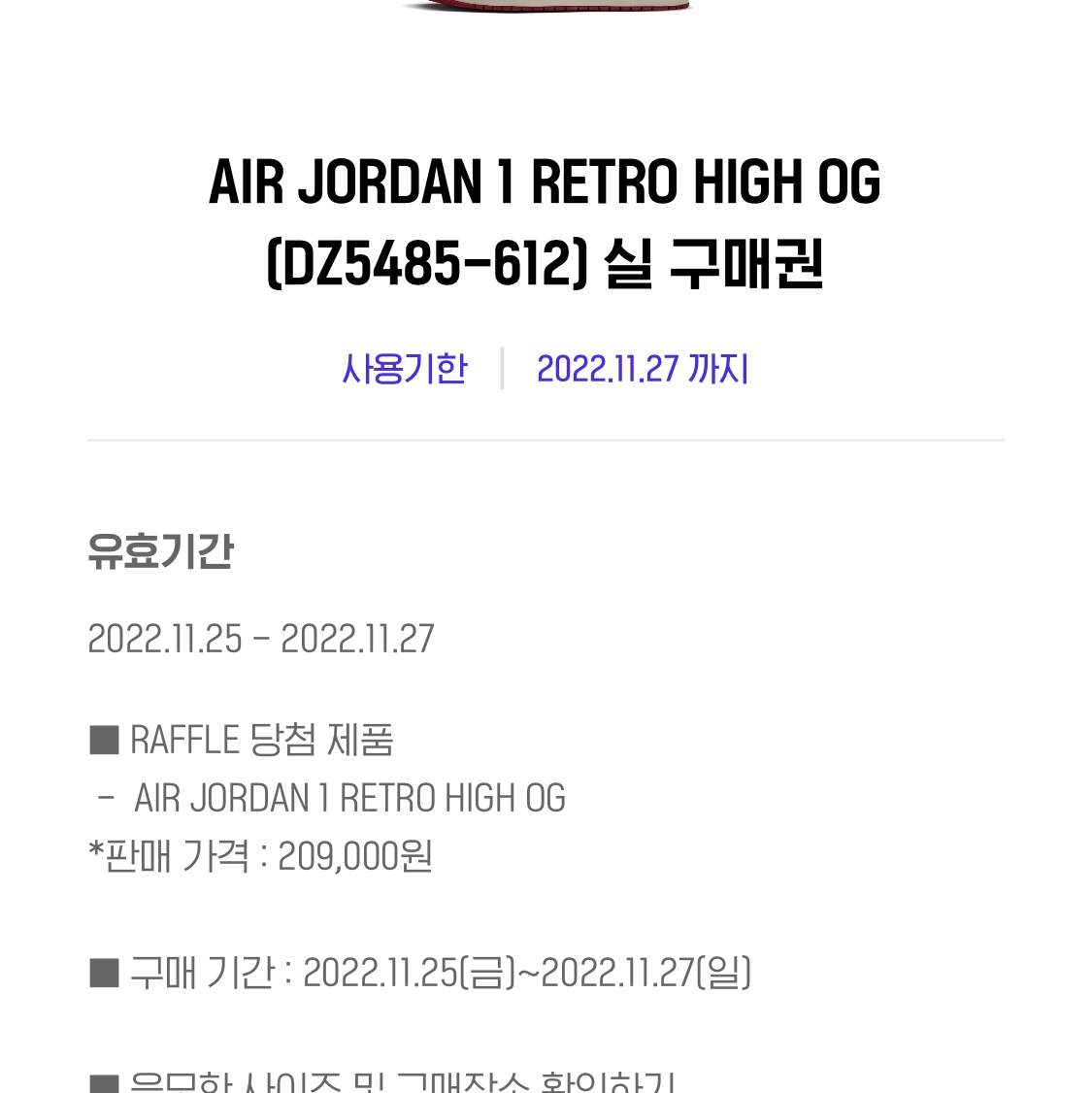 Jordan 1 Retro High OG Chicago 2022 착용 스타일