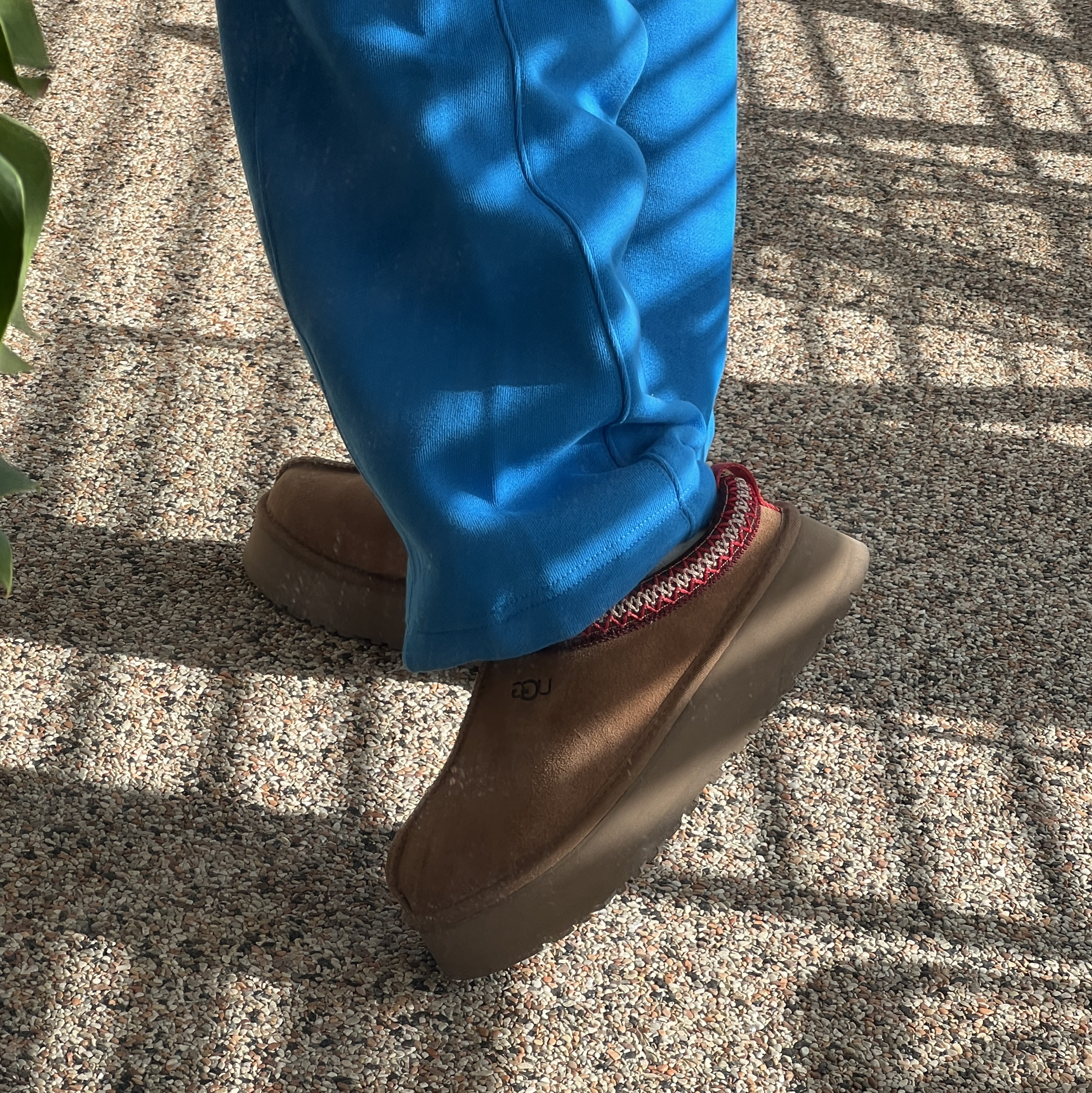 (W) UGG Tazz Slipper Chestnut 착용 스타일 - 2
