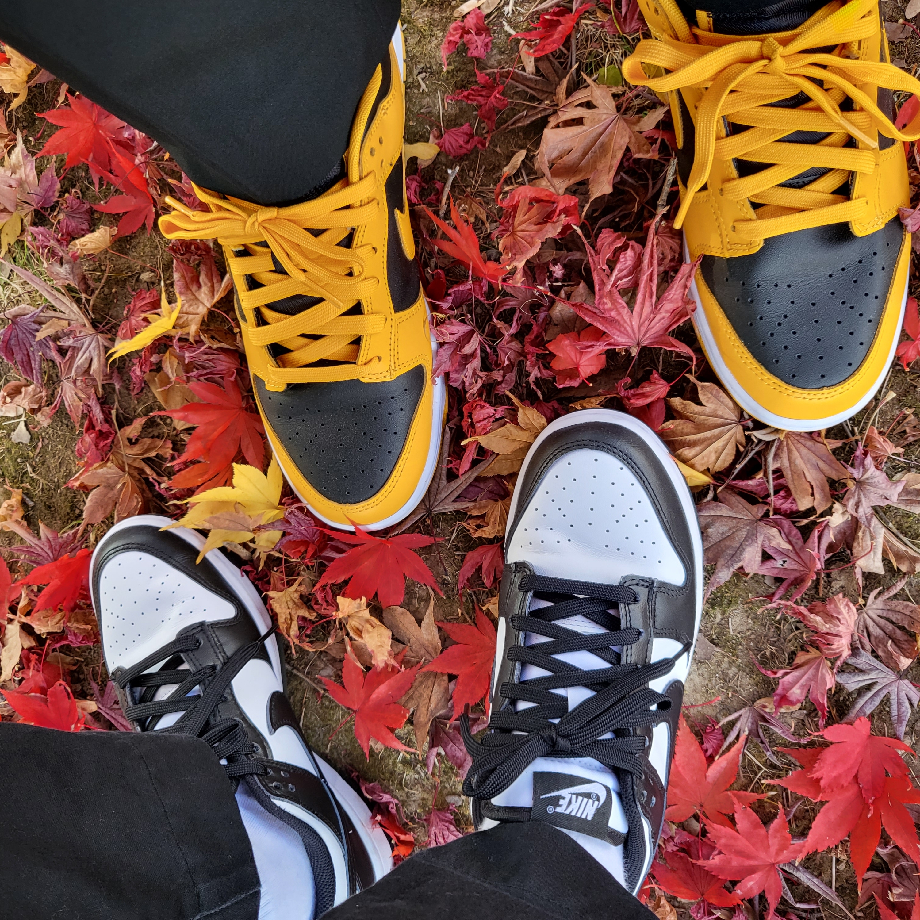 (W) Nike Dunk Low Black, Nike Dunk Low Retro Championship Goldenrod 착용 스타일