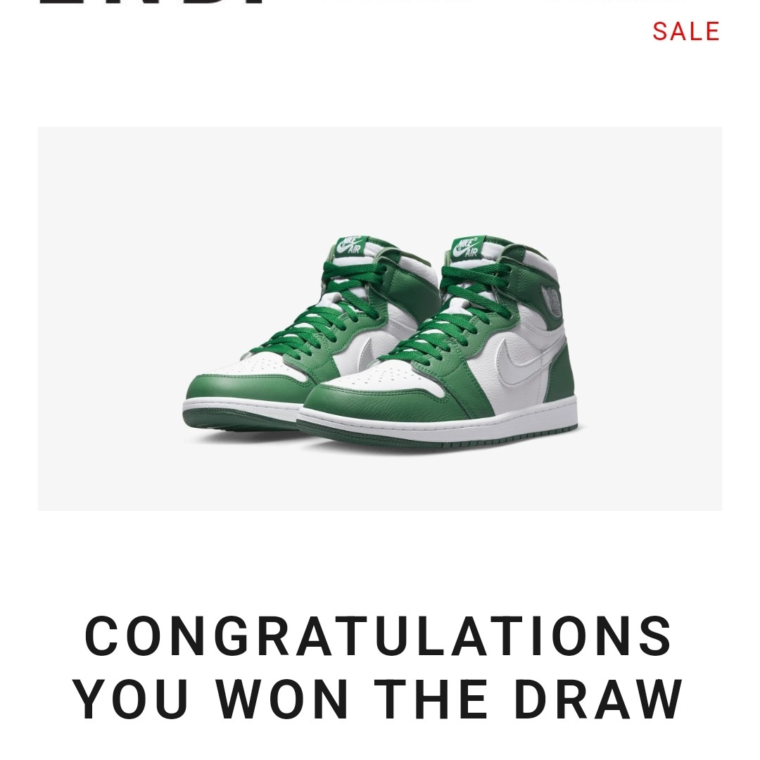 Jordan 1 Retro High OG Gorge Green 착용 스타일