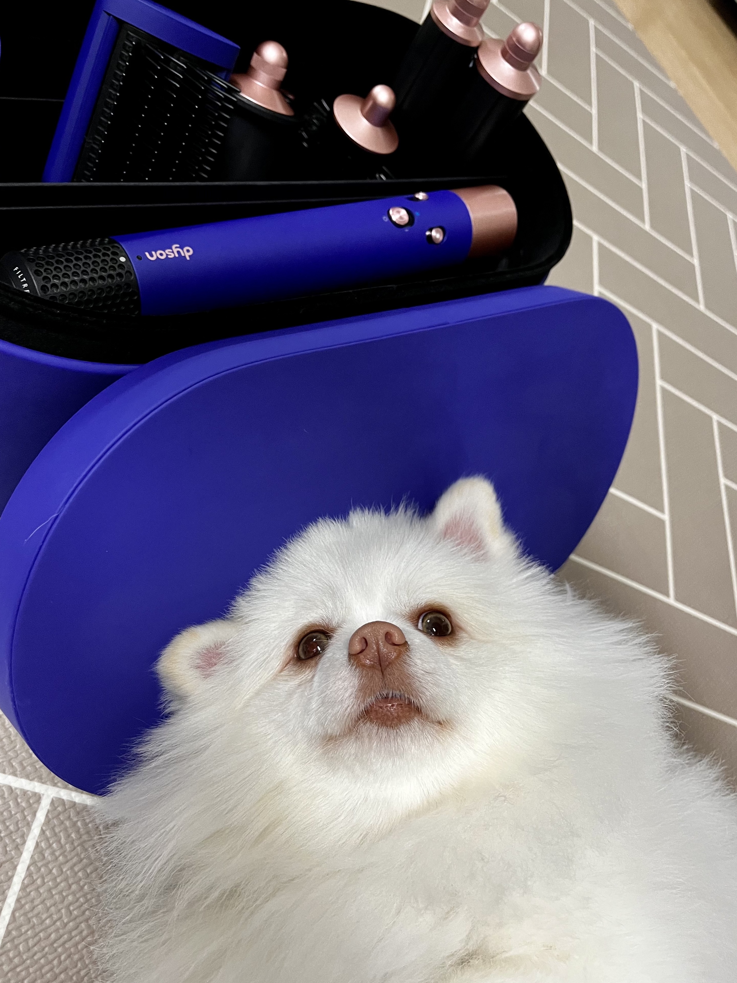 Dyson Airwrap Multi Styler Complete Long Vinca Blue Rose (Korean Ver.) 착용 스타일 - 1