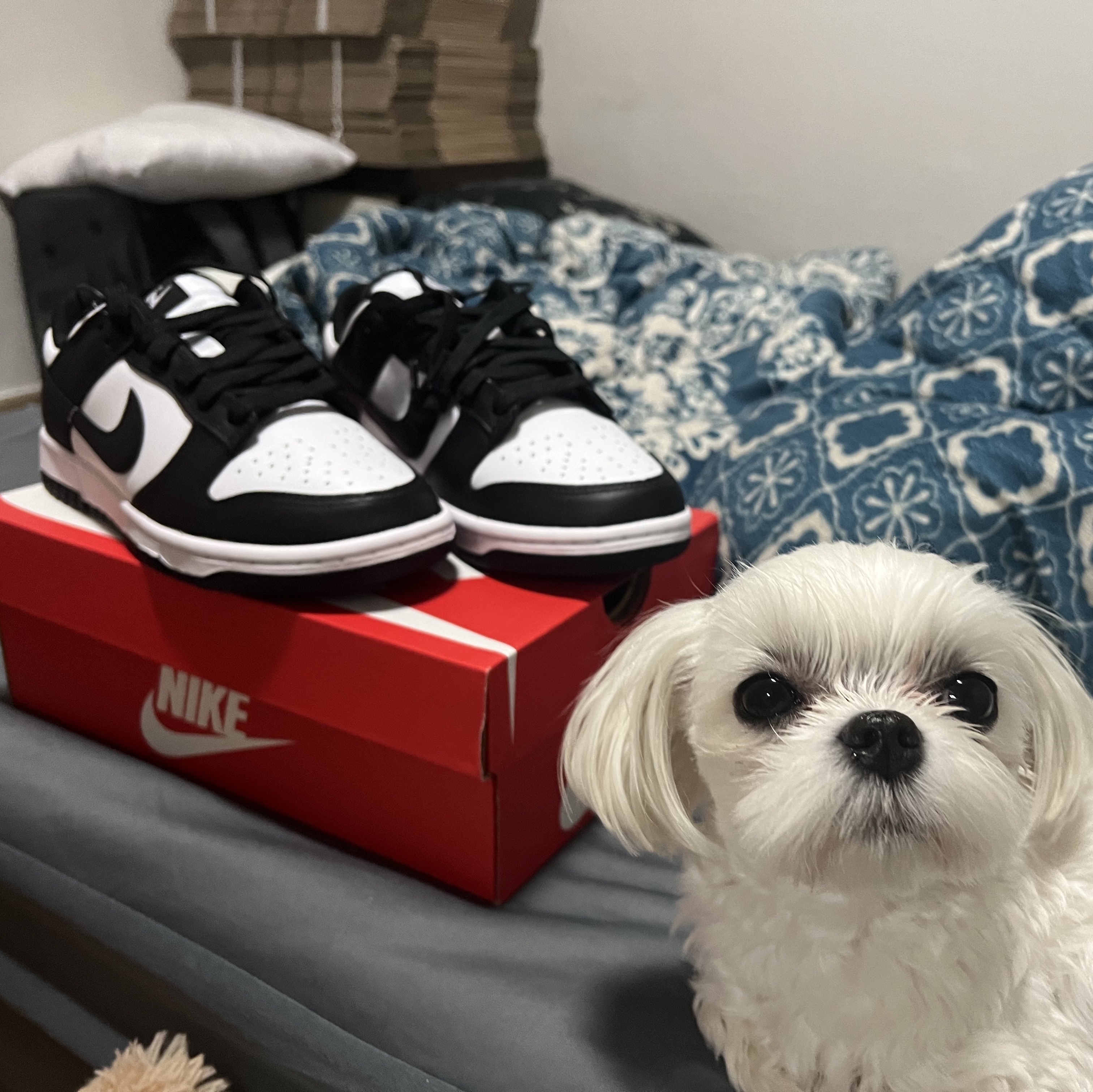 (W) Nike Dunk Low Black 착용 스타일