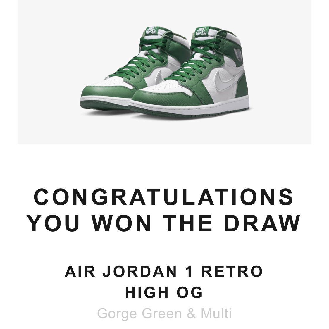 Jordan 1 Retro High OG Gorge Green 착용 스타일