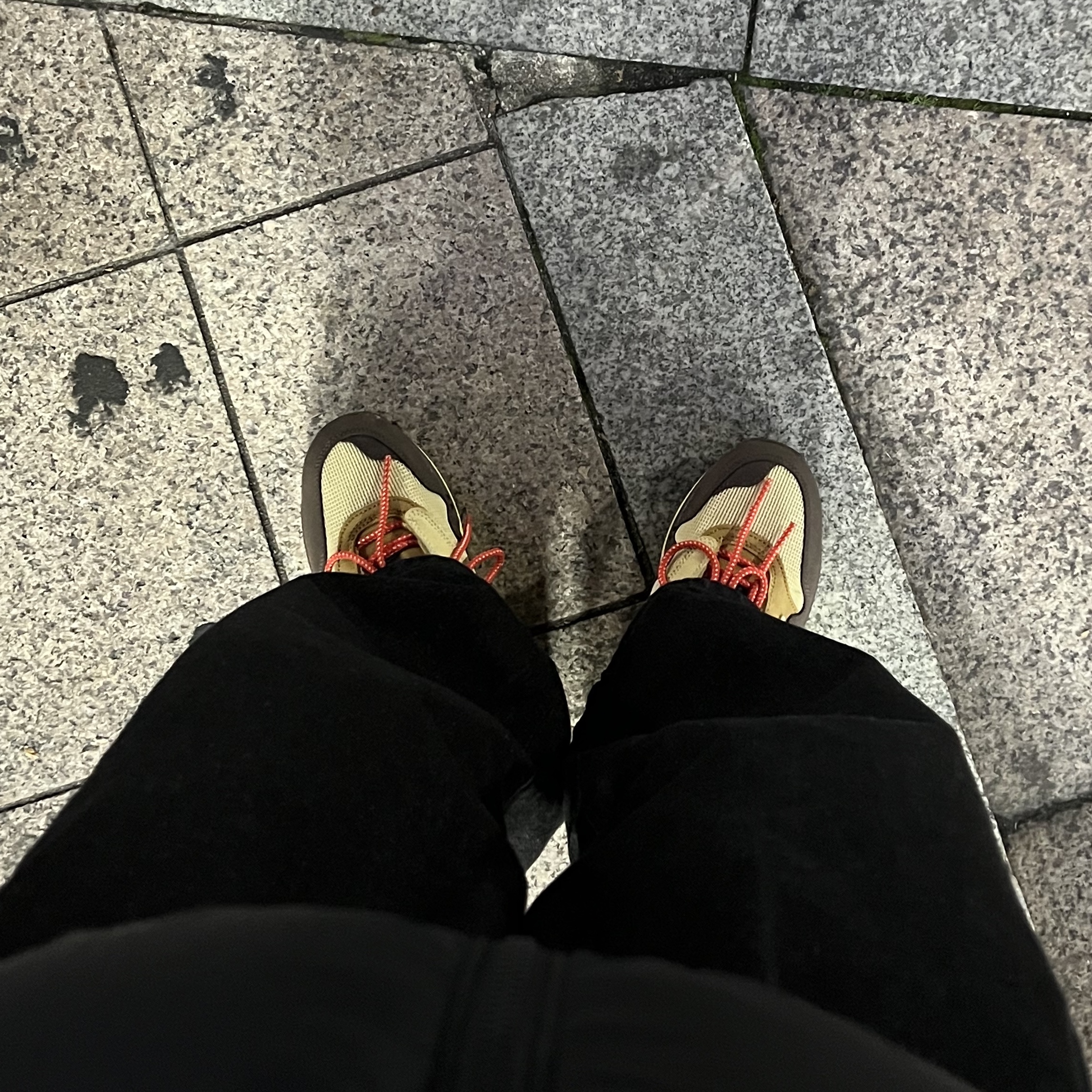 Nike x Travis Scott Air Max 1 Cact.us Brown 착용 스타일