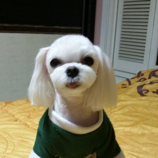 관심 유저 프로필 이미지