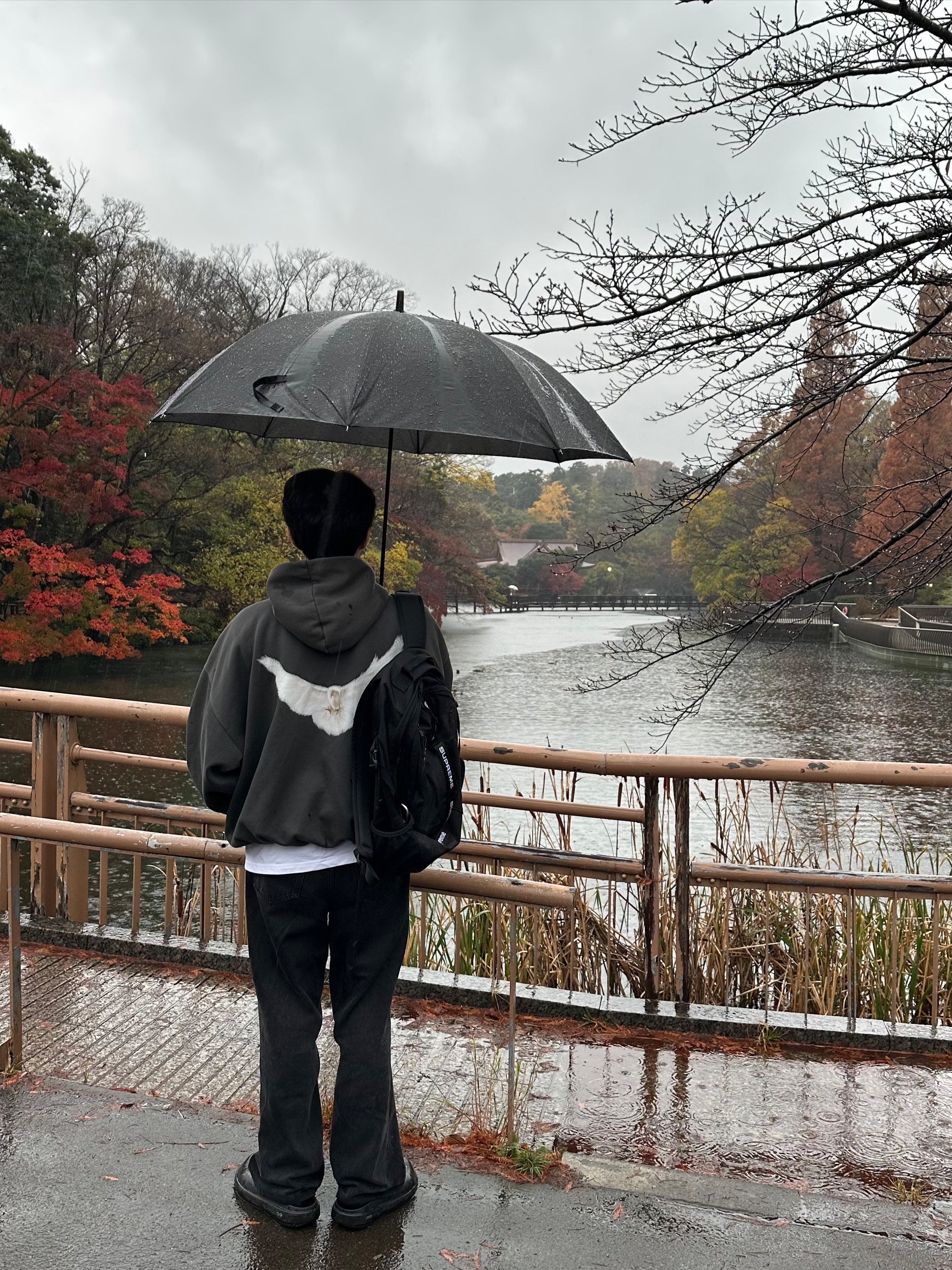 Yeezy Gap Engineered By Balenciaga Dove Hoodie Black, Supreme Backpack Black - 22FW 착용 스타일