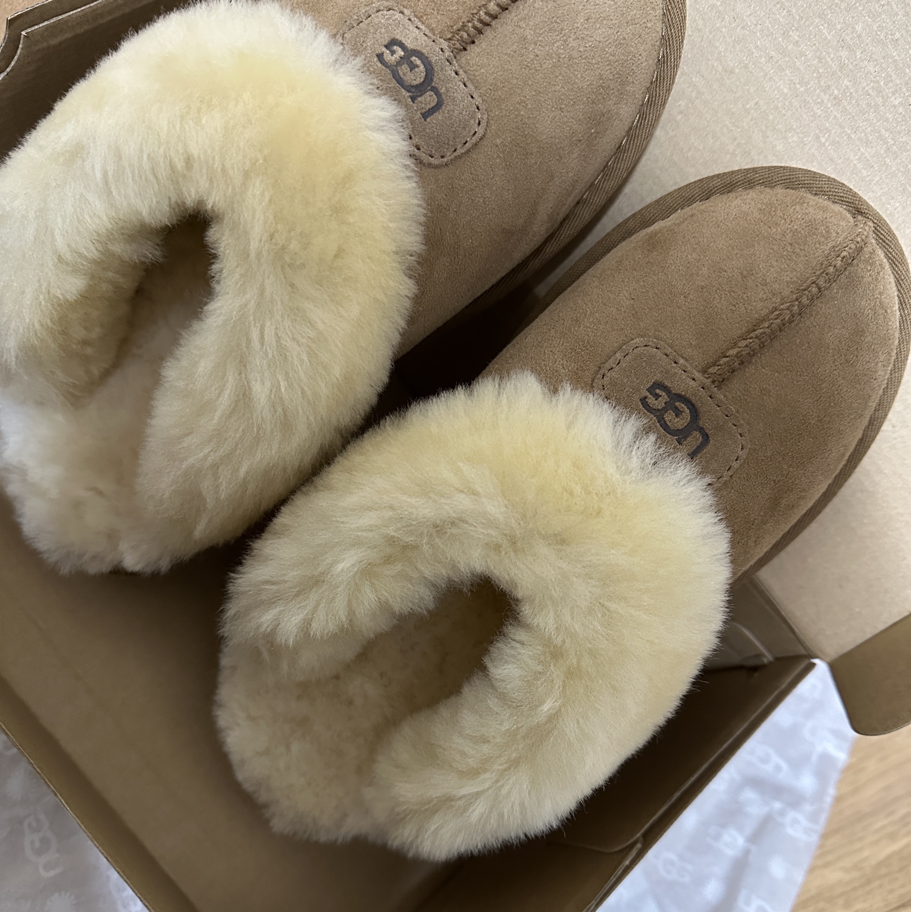 (W) UGG Coquette Slipper Chestnut 착용 스타일
