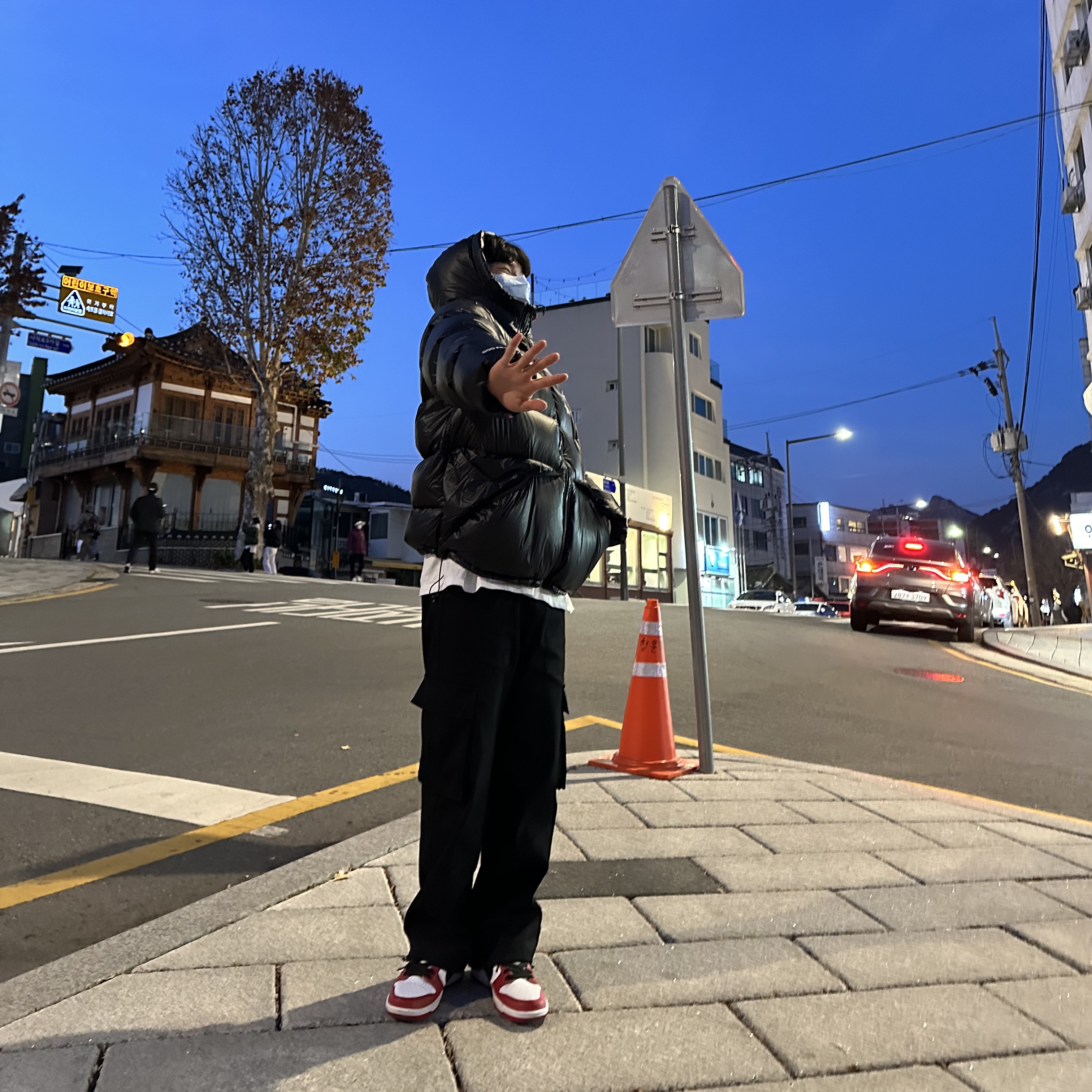 Nike SB Dunk Low Pro Chicago, Stussy Micro Ripstop Down Parka Black 착용 스타일 - 1