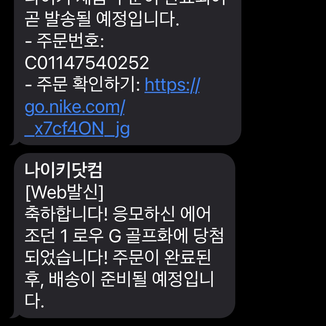 Jordan 1 Low Golf Wolf Grey 착용 스타일 - 2