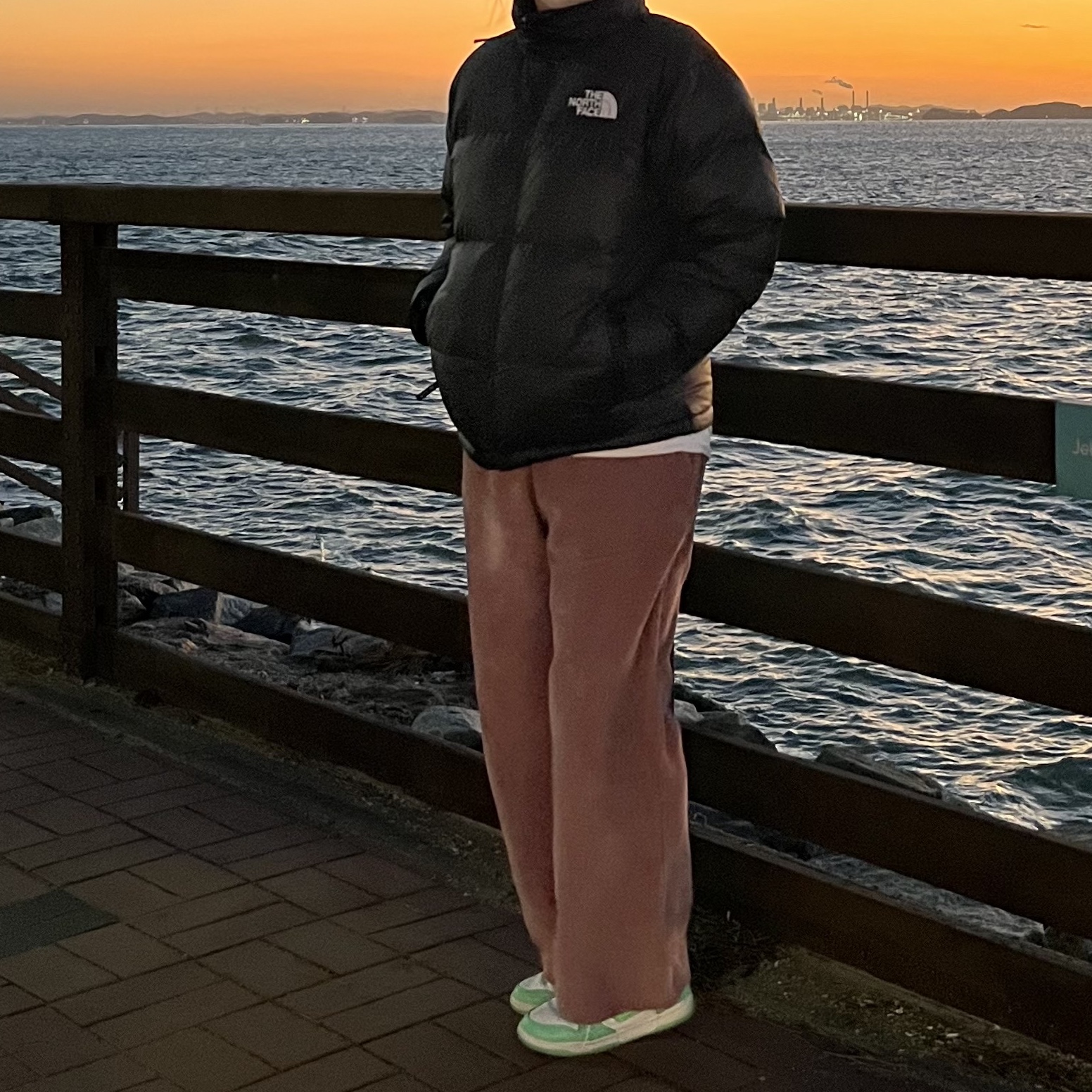 The North Face 1996 Eco Nuptse Jacket Black, (W) Nike Dunk Low Green Glow 착용 스타일