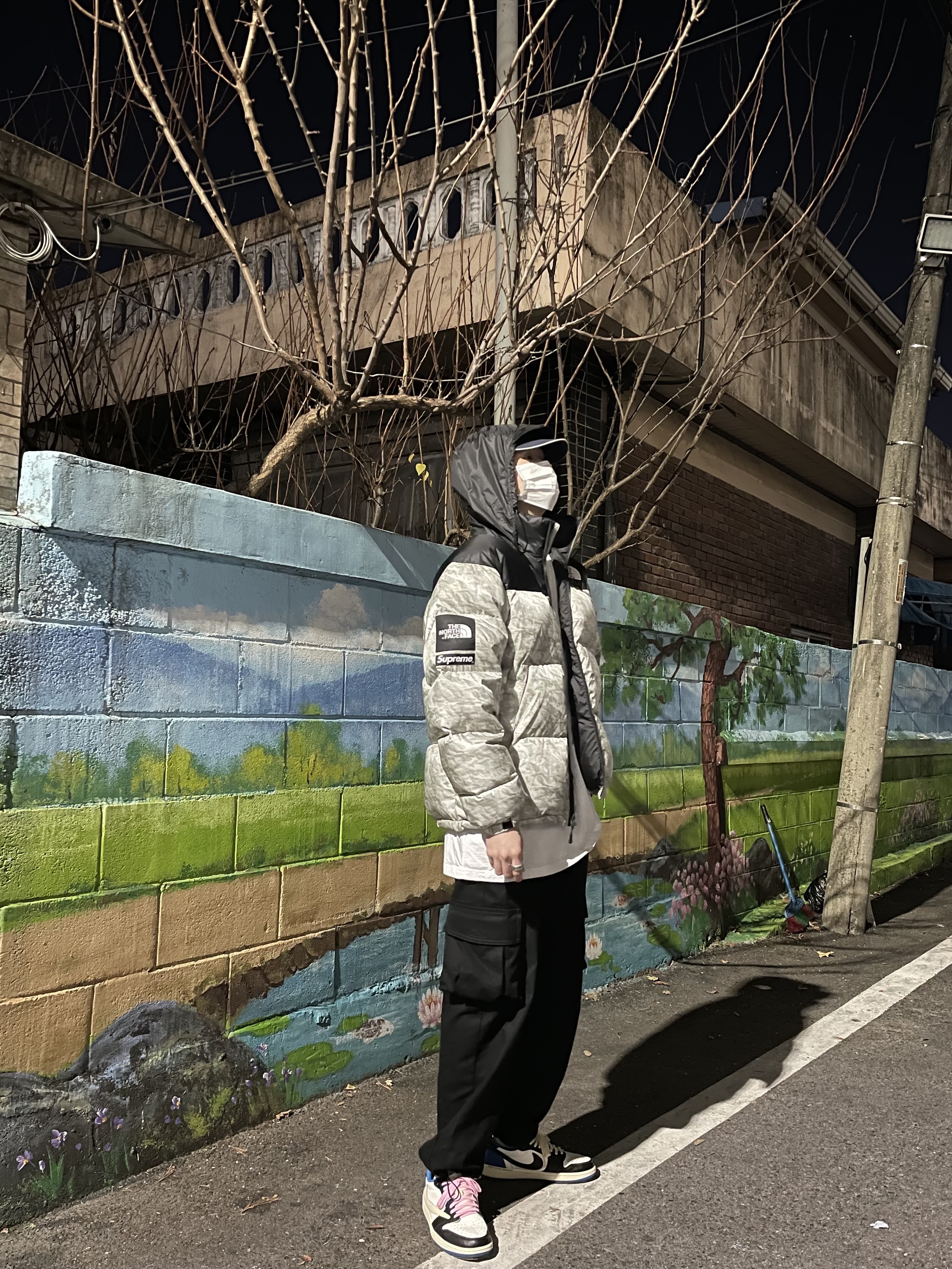 Supreme x The North Face Paper Print Nuptse Jacket - 19FW, Jordan 1 x Travis Scott x Fragment Retro Low OG SP Military Blue 착용 스타일