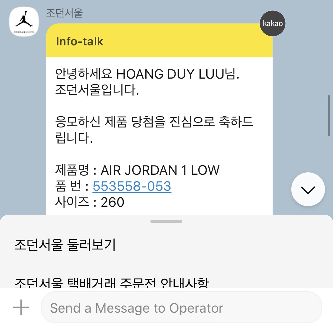 Jordan 1 Low Stealth and White 착용 스타일