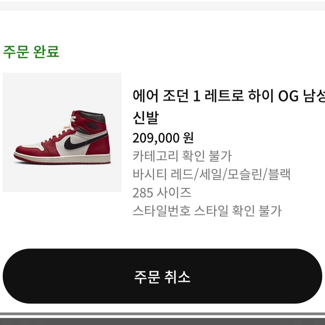 Jordan 1 Retro High OG Chicago 2022 착용 스타일