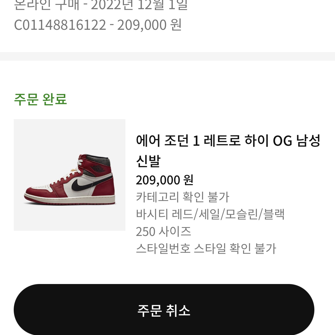 Jordan 1 Retro High OG Chicago 2022 착용 스타일