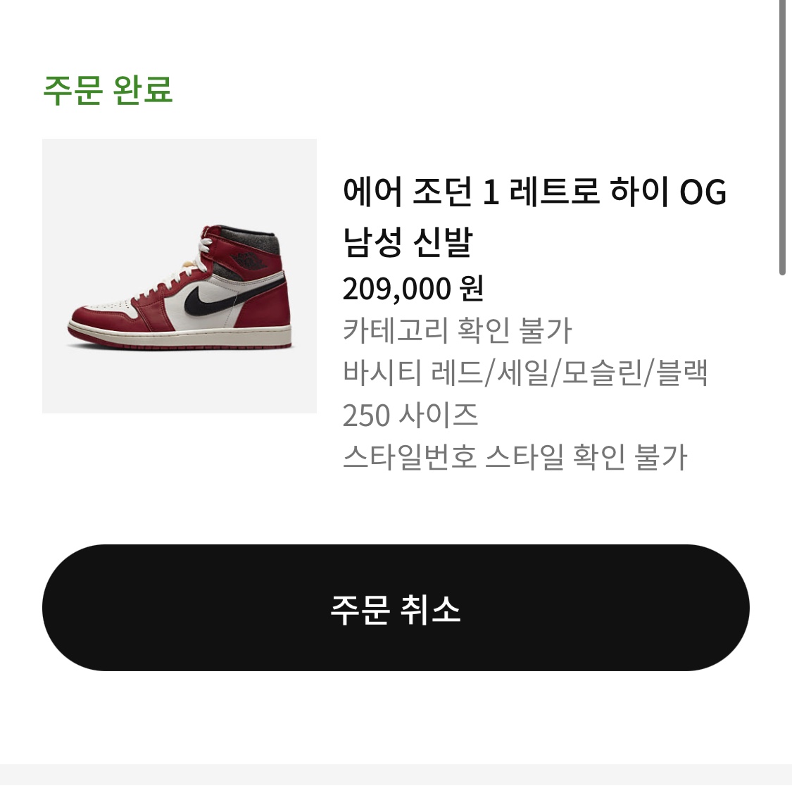 Jordan 1 Retro High OG Chicago 2022 착용 스타일