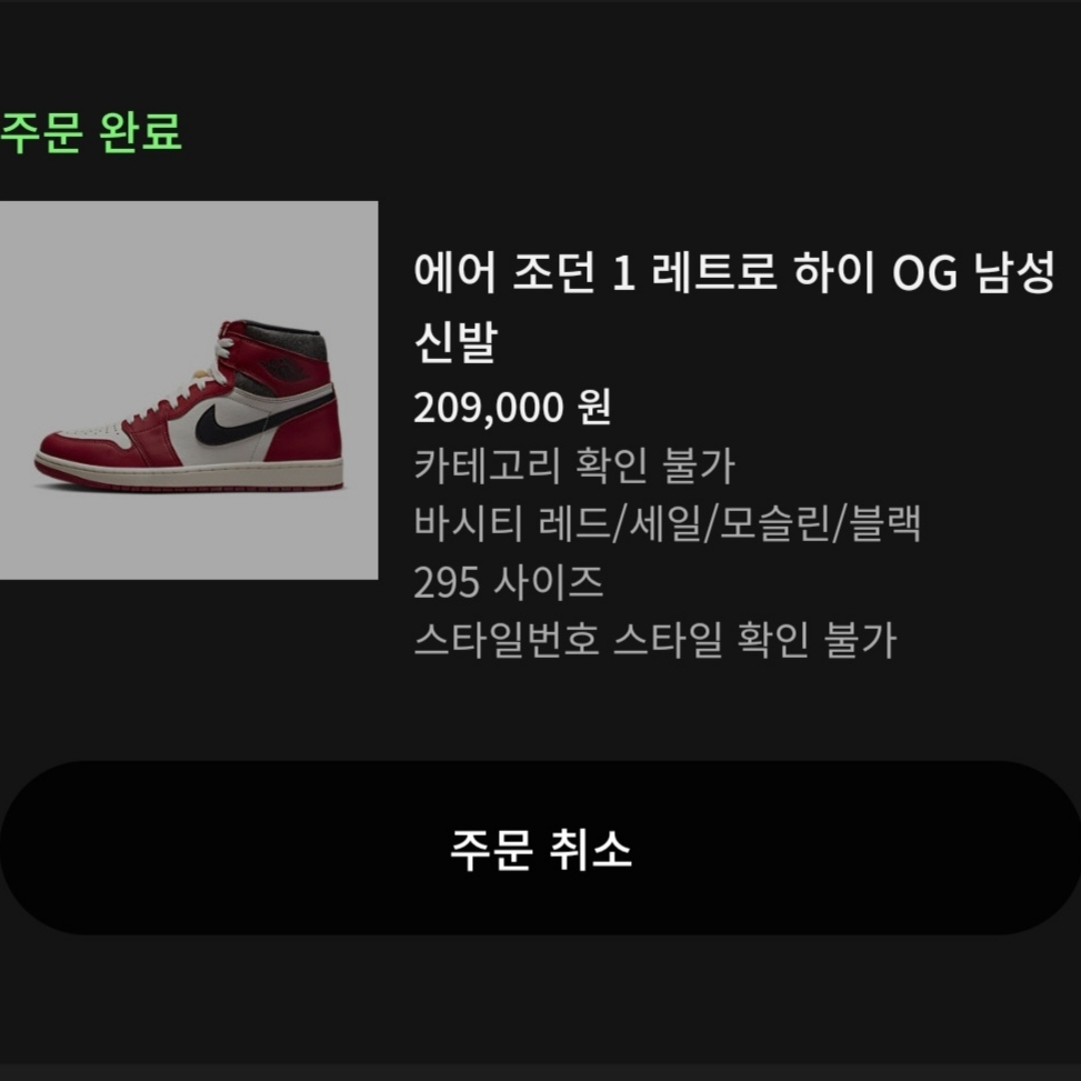 Jordan 1 Retro High OG Chicago 2022 착용 스타일
